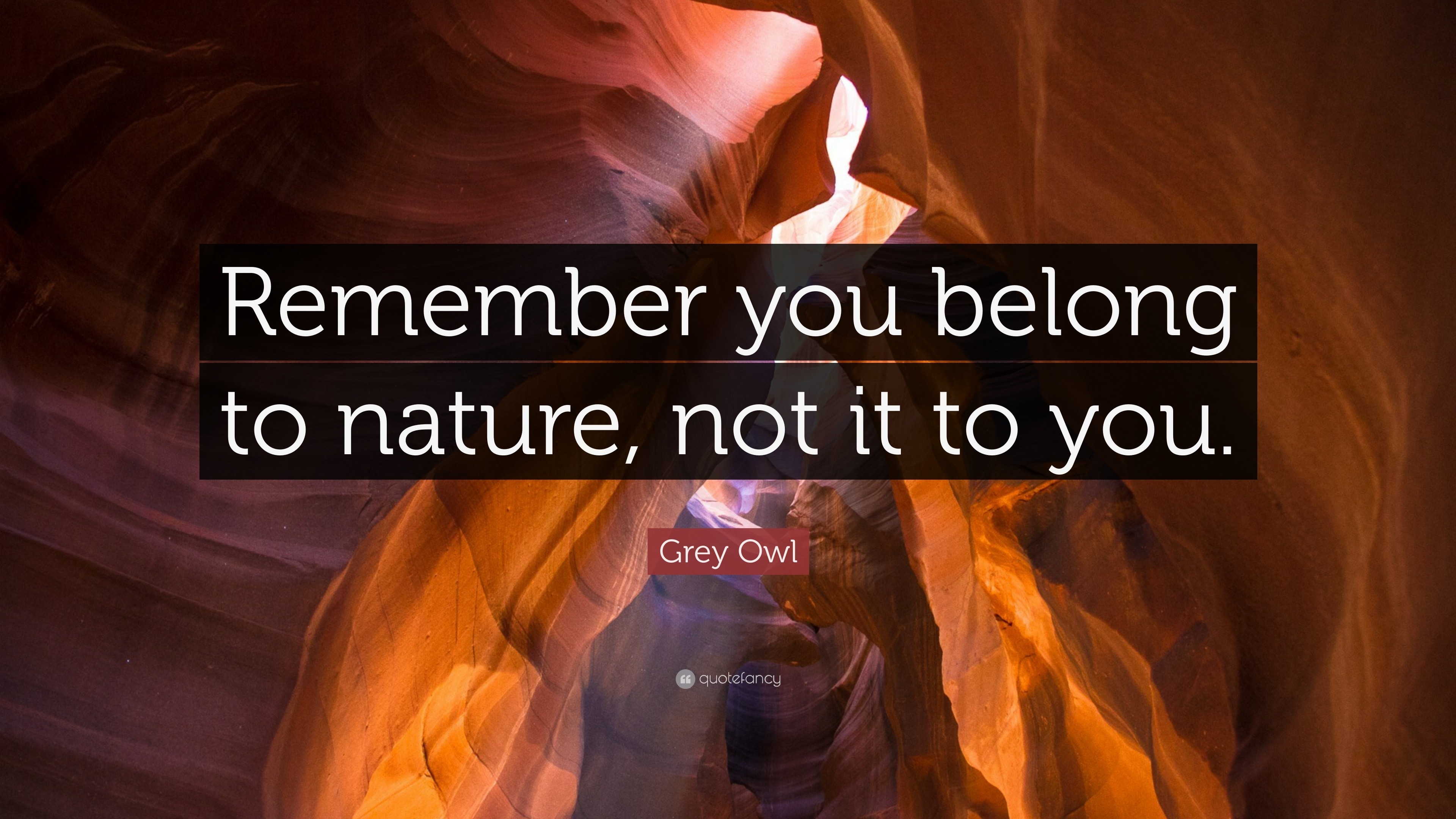 Grey Owl Quote: “Remember you belong to nature, not it to you.”