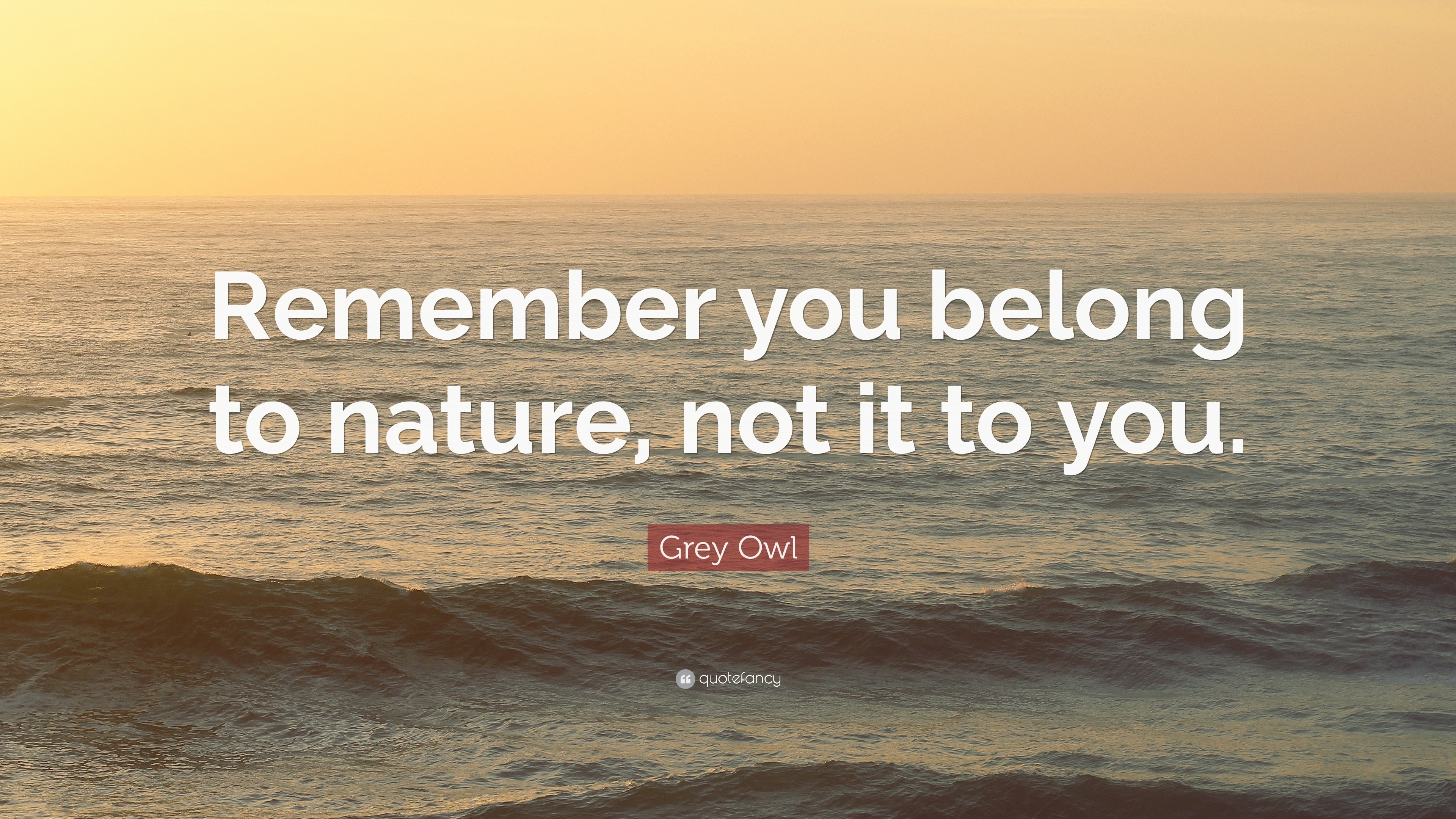 Grey Owl Quote: “Remember you belong to nature, not it to you.”