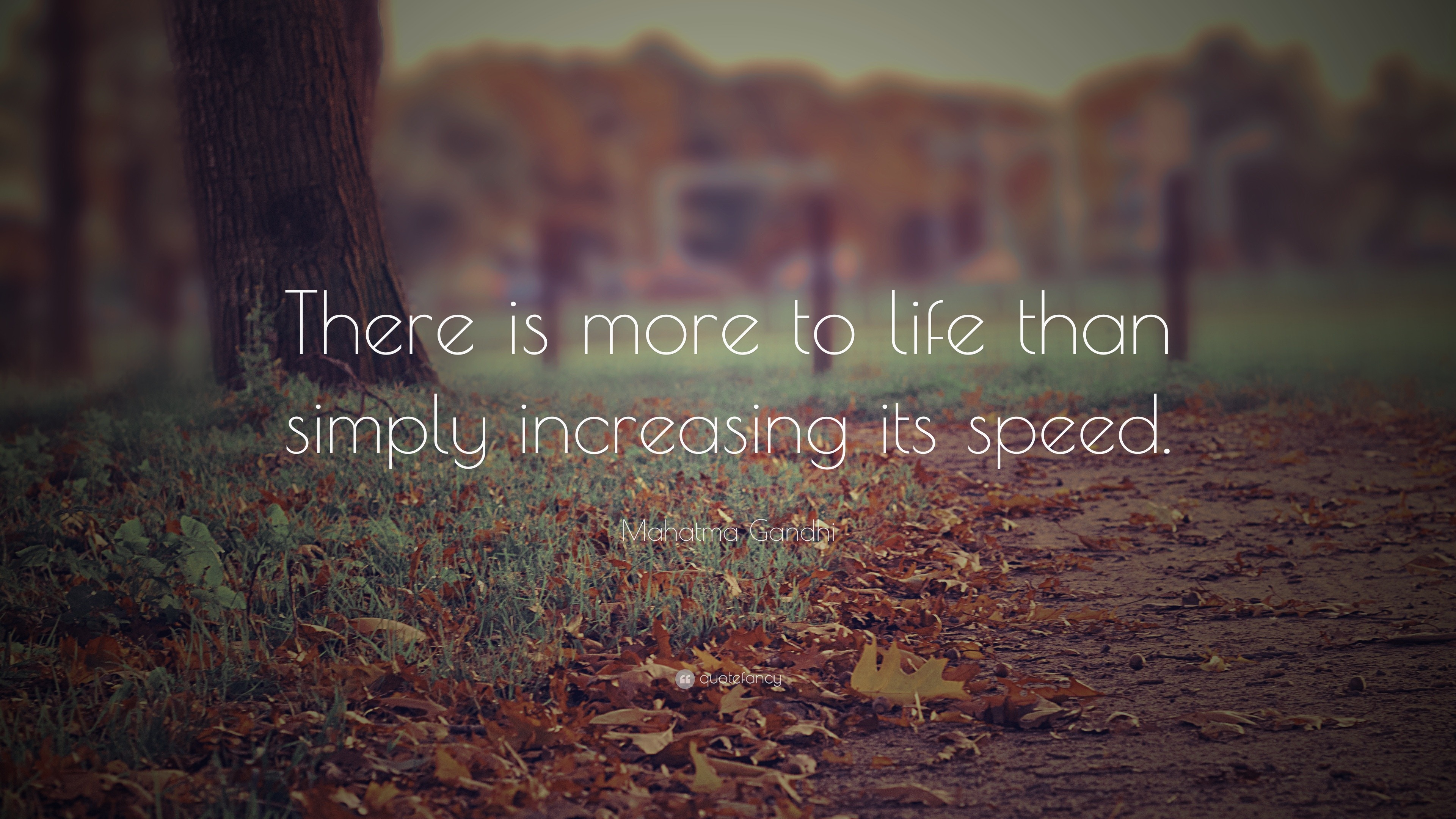 Mahatma Gandhi Quote There Is More To Life Than Simply Increasing Its Speed