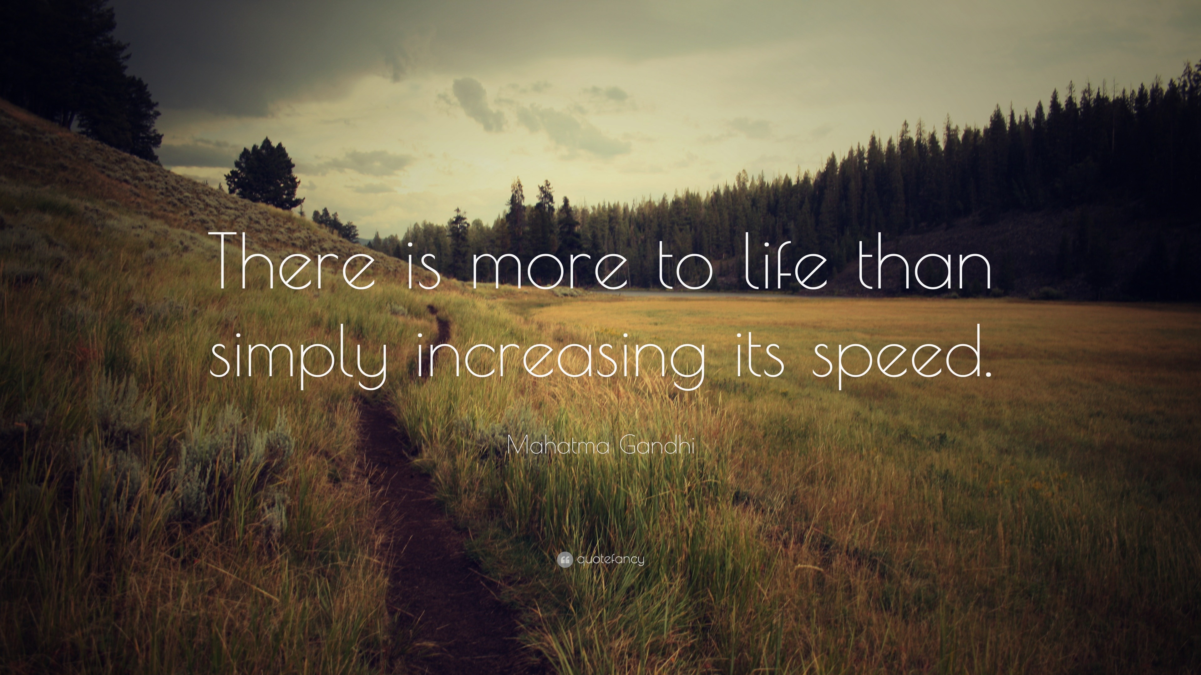Mahatma Gandhi Quote There Is More To Life Than Simply Increasing Its Speed