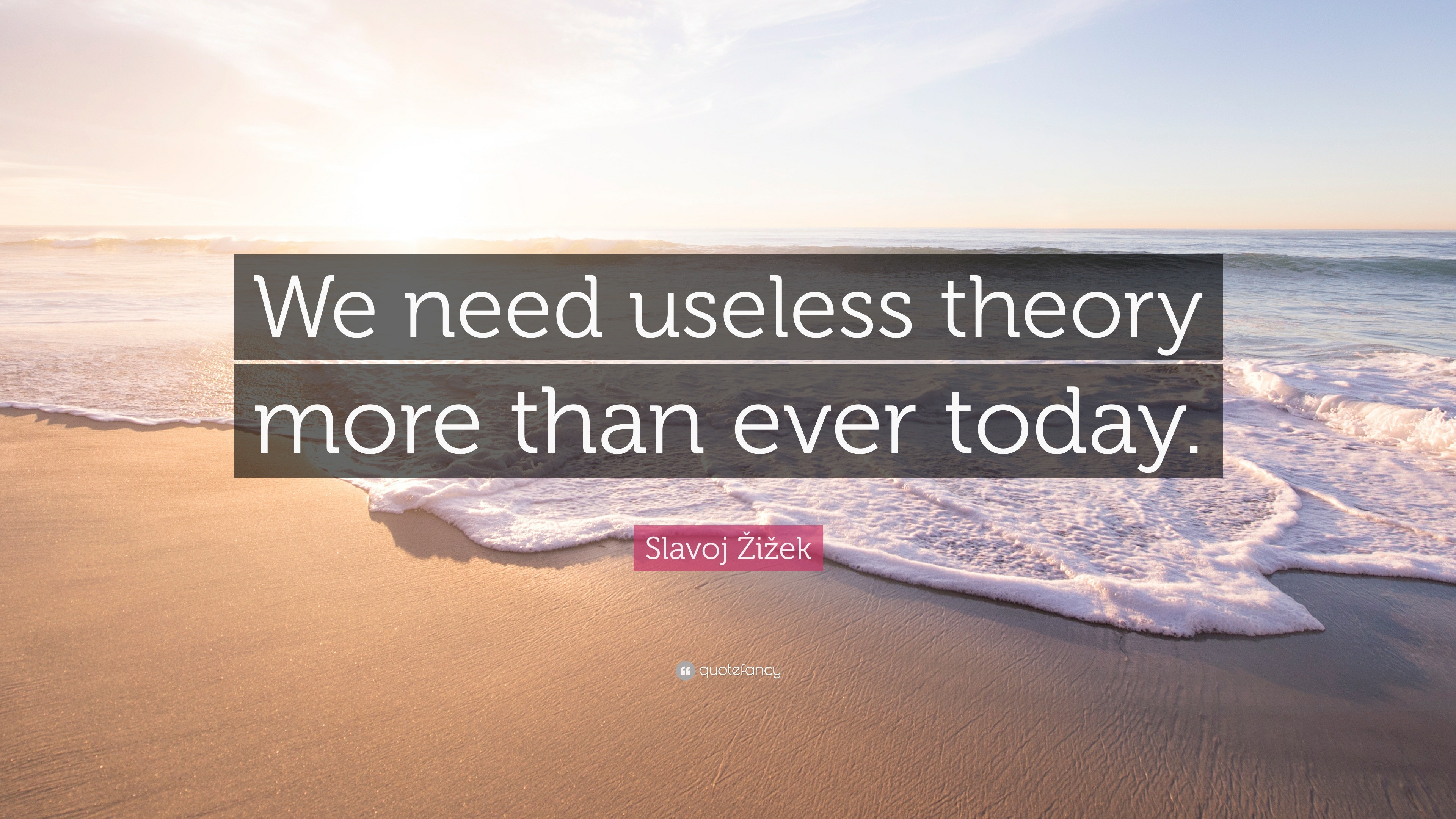 Slavoj Žižek Quote: “We need useless theory more than ever today.”
