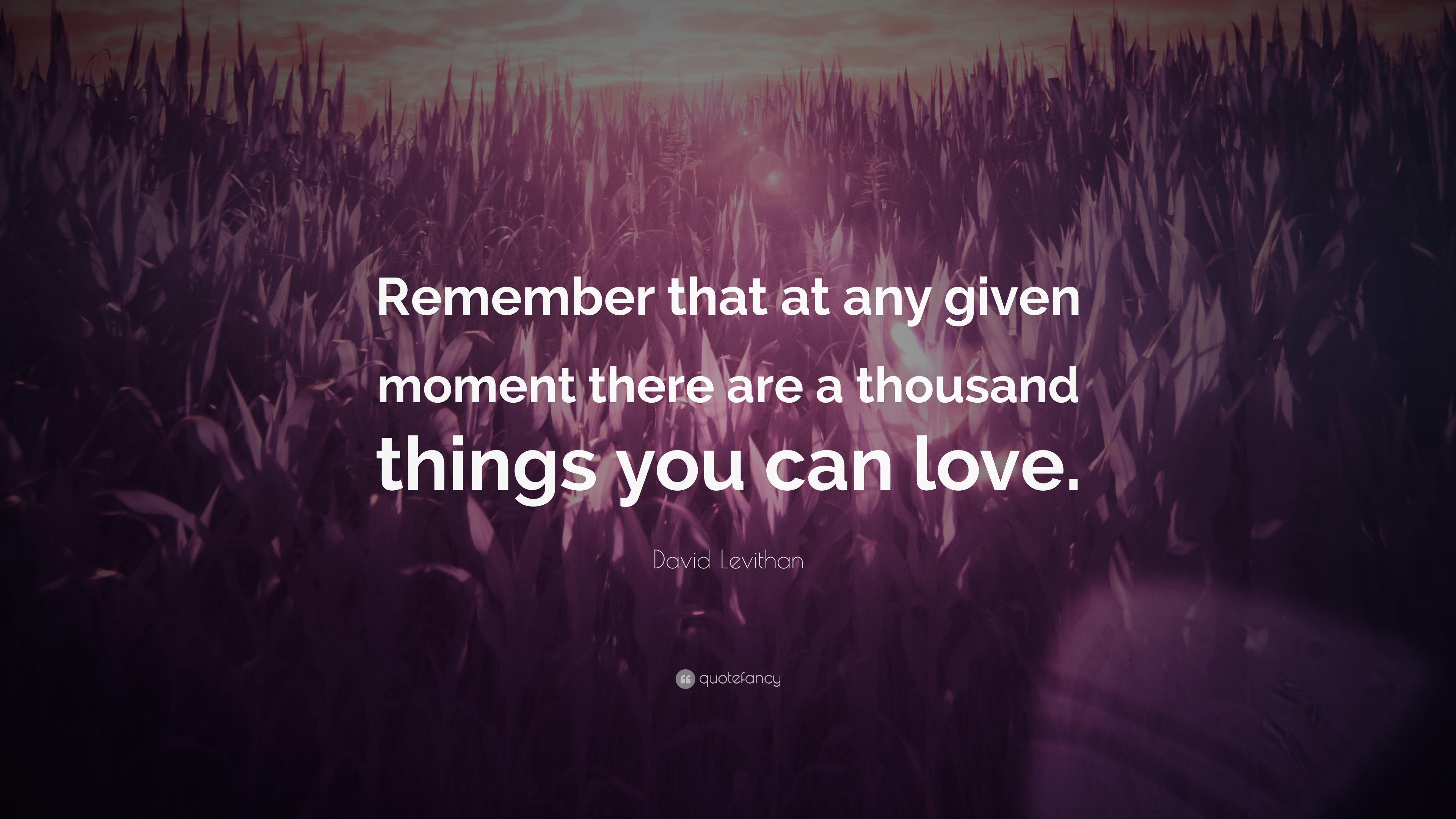 David Levithan Quote “remember That At Any Given Moment There Are A Thousand Things You Can Love” 