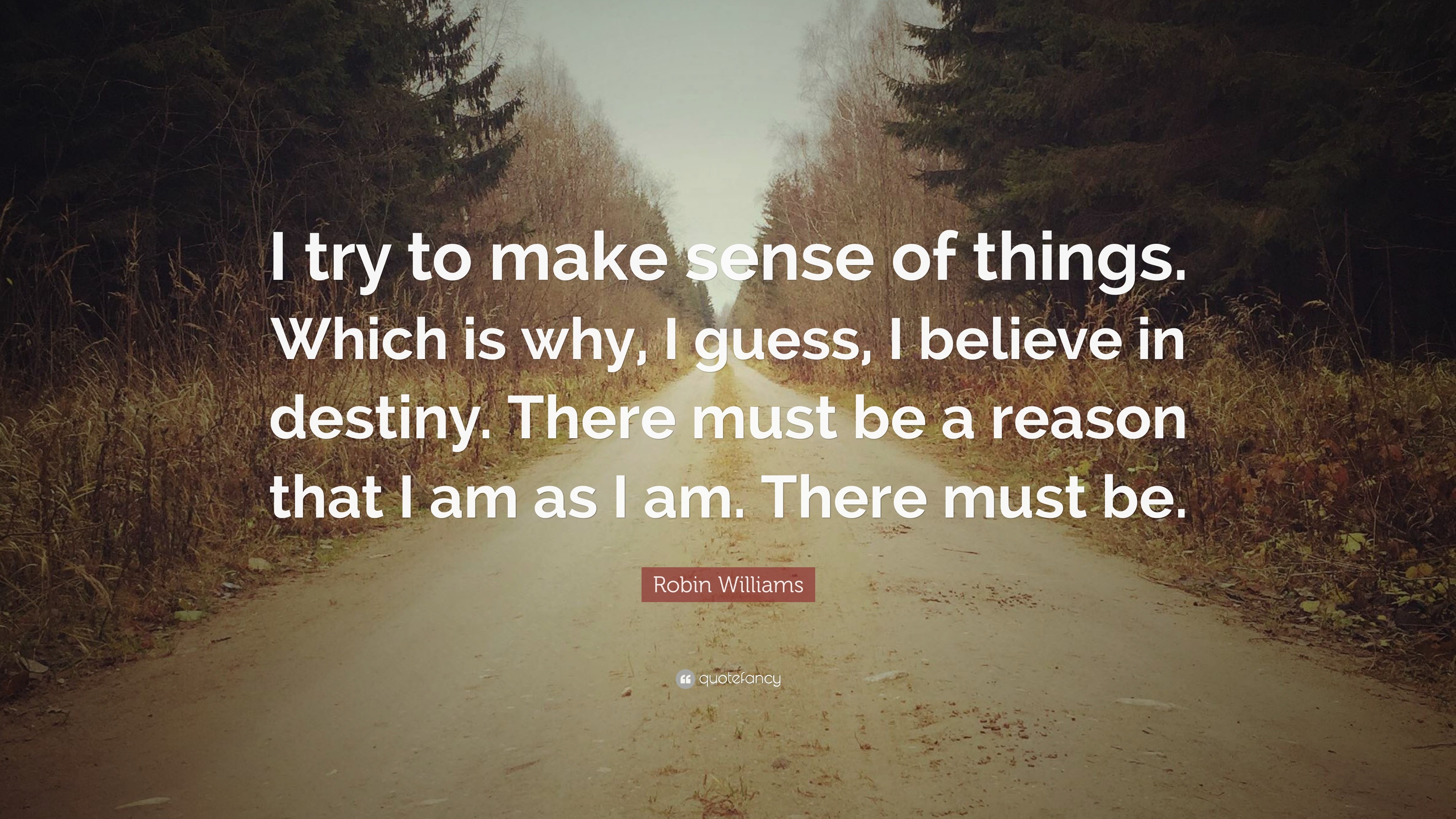 Robin Williams Quote: “I try to make sense of things. Which is why, I ...