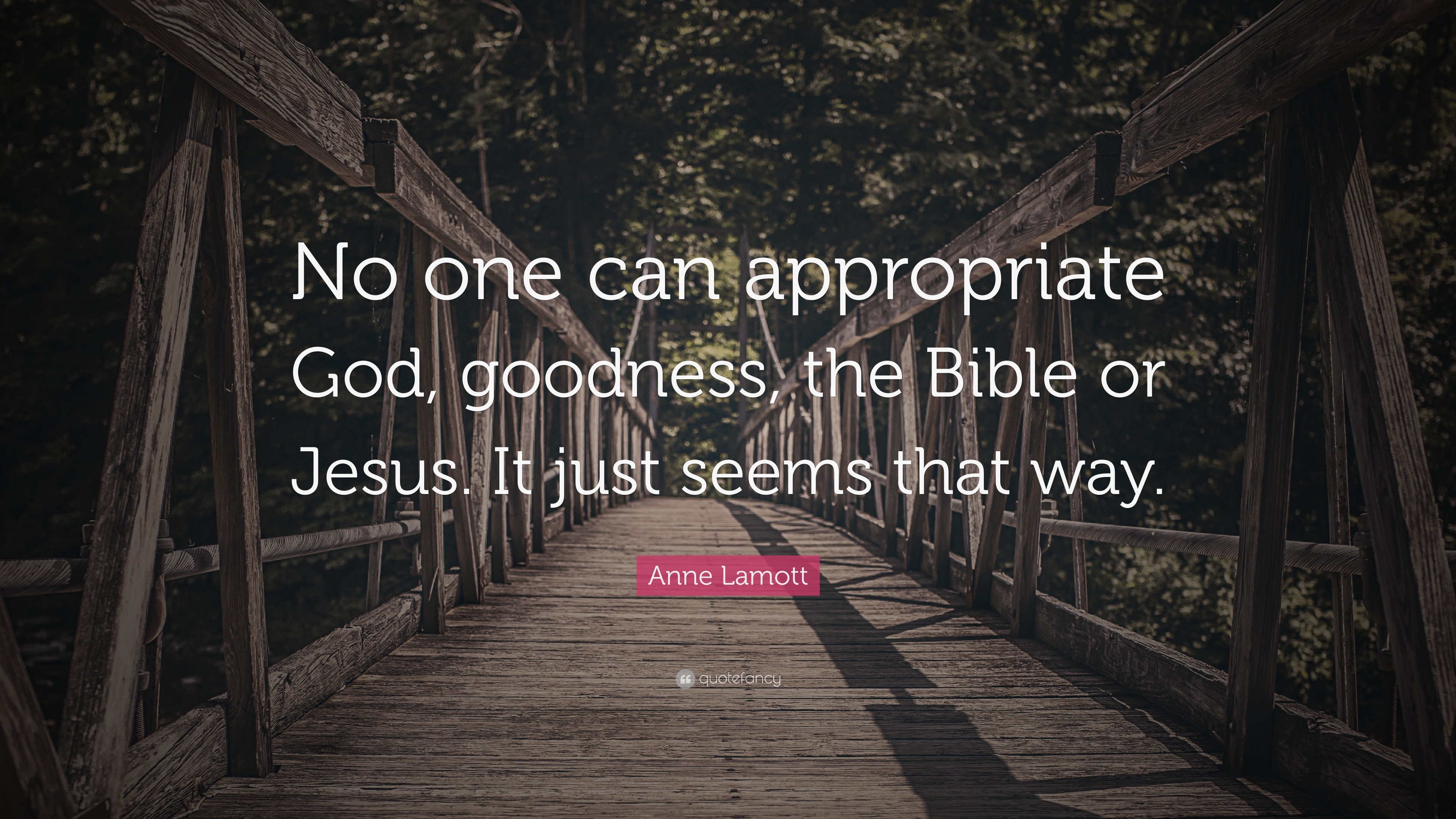 Anne Lamott Quote: “No one can appropriate God, goodness, the Bible or ...