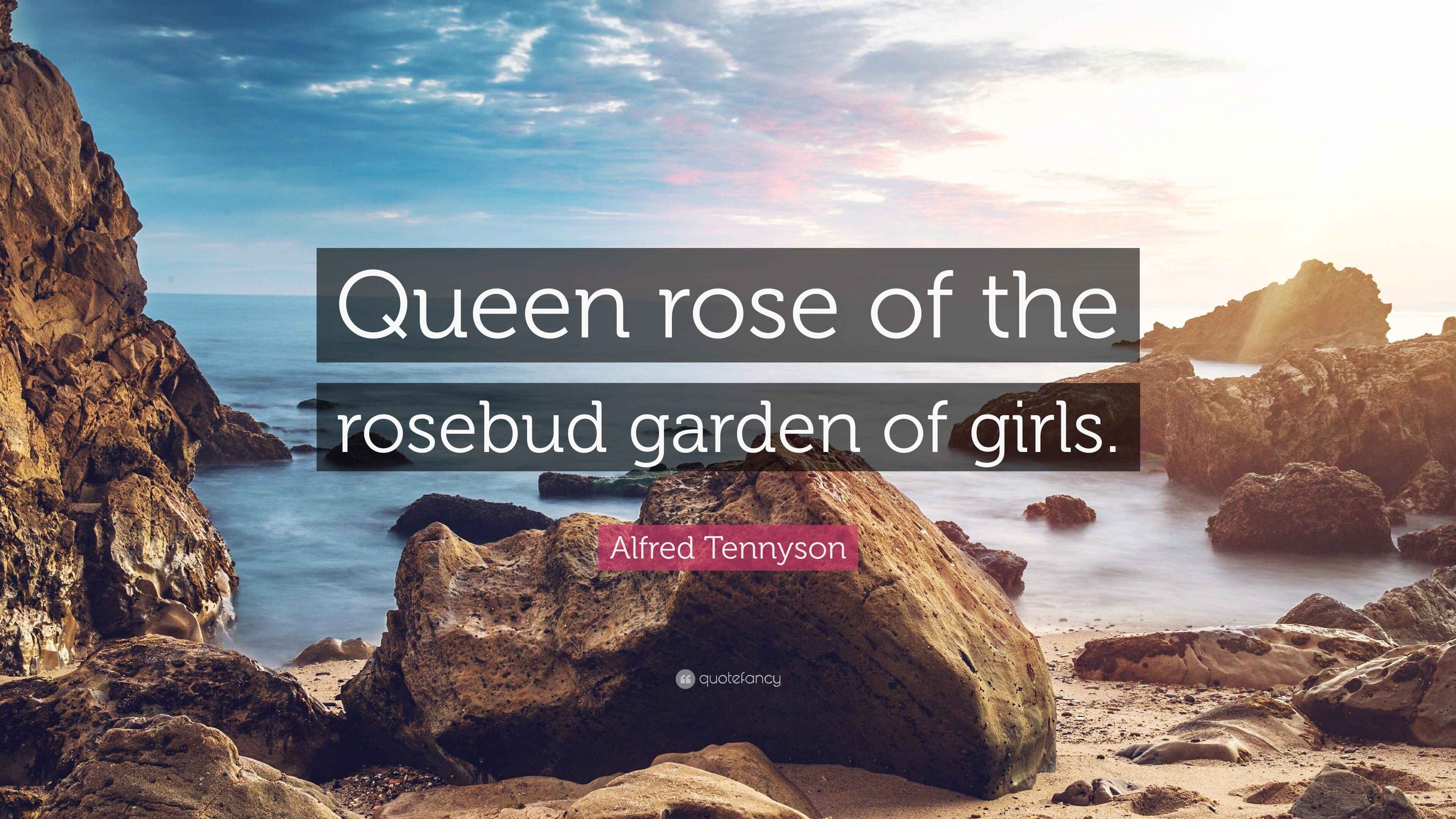 Alfred Tennyson Quote “Queen rose of the rosebud garden of girls.”