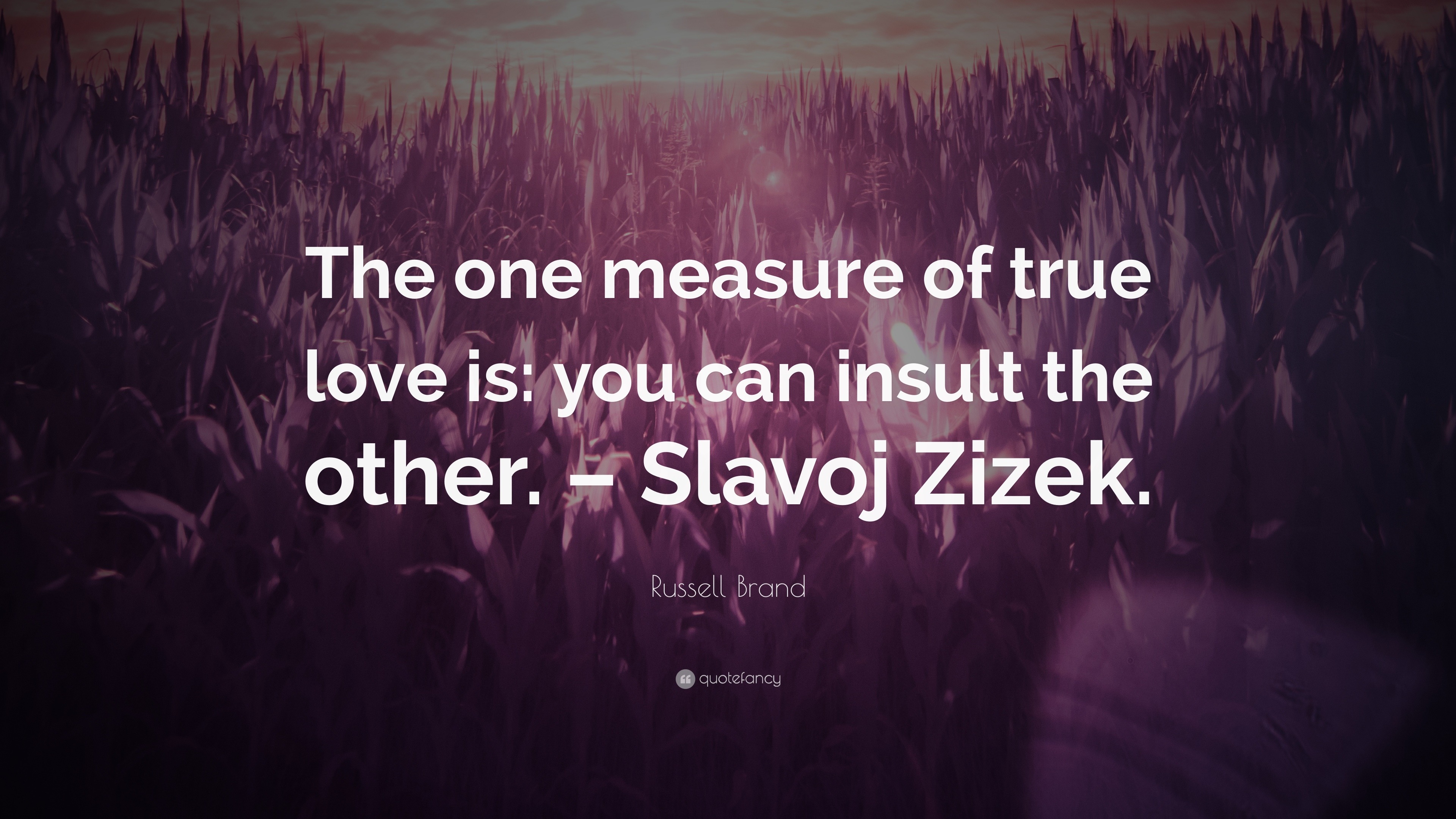 Russell Brand Quote “The one measure of true love is you can insult