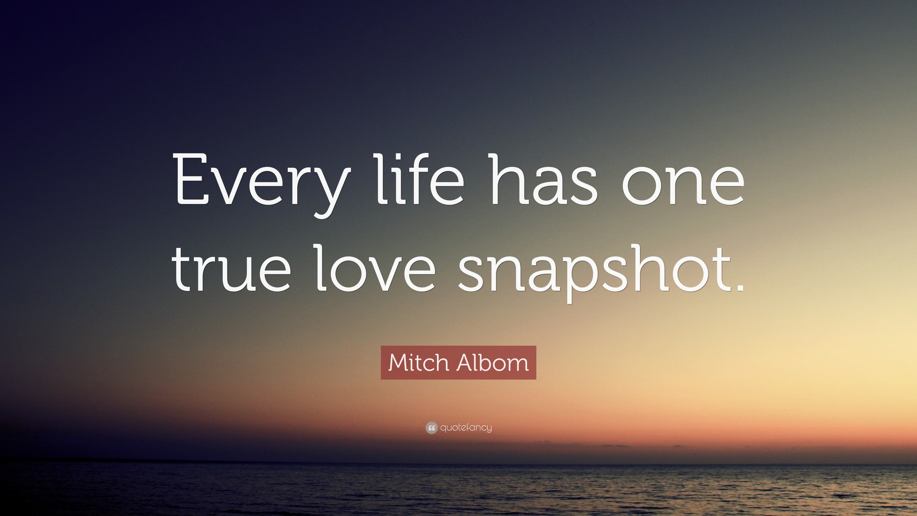 Mitch Albom Quote “Every life has one true love snapshot ”
