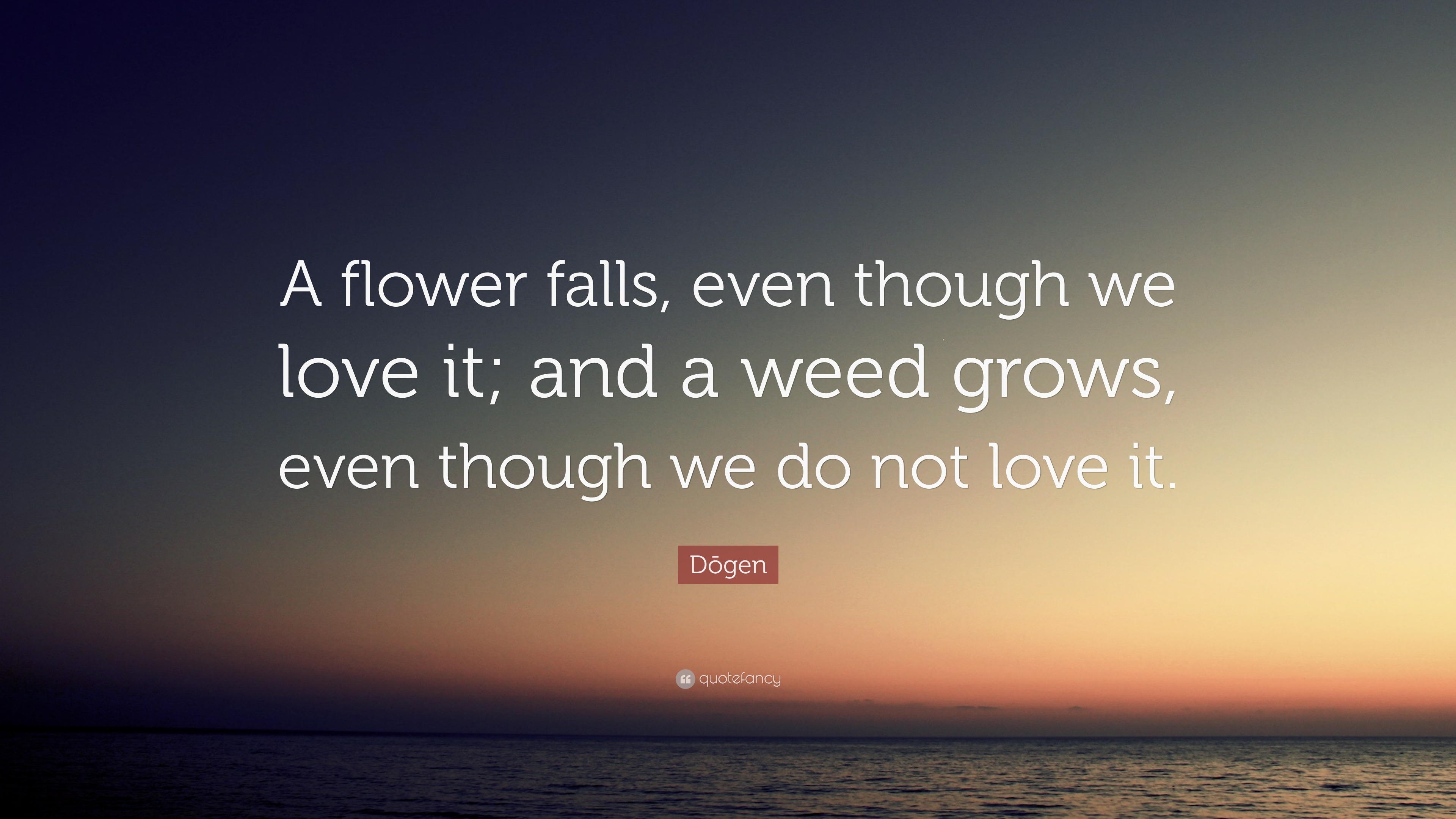 Dōgen Quote: “A flower falls, even though we love it; and a weed grows ...