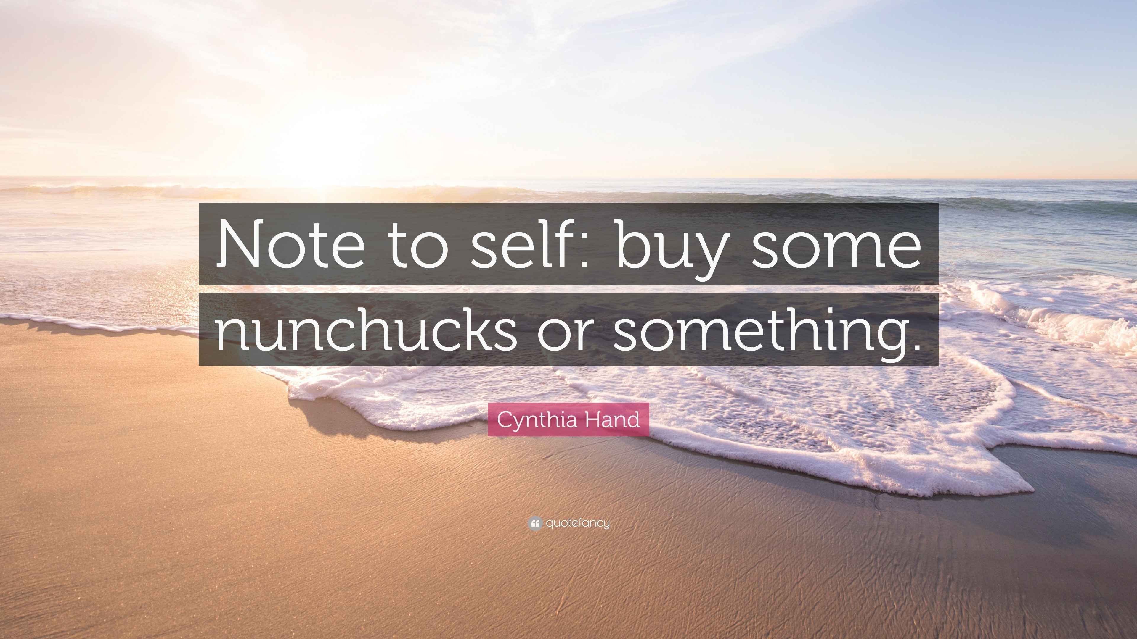 Cynthia Hand Quote: “Note to self: buy some nunchucks or something.”, image size:3840x2160