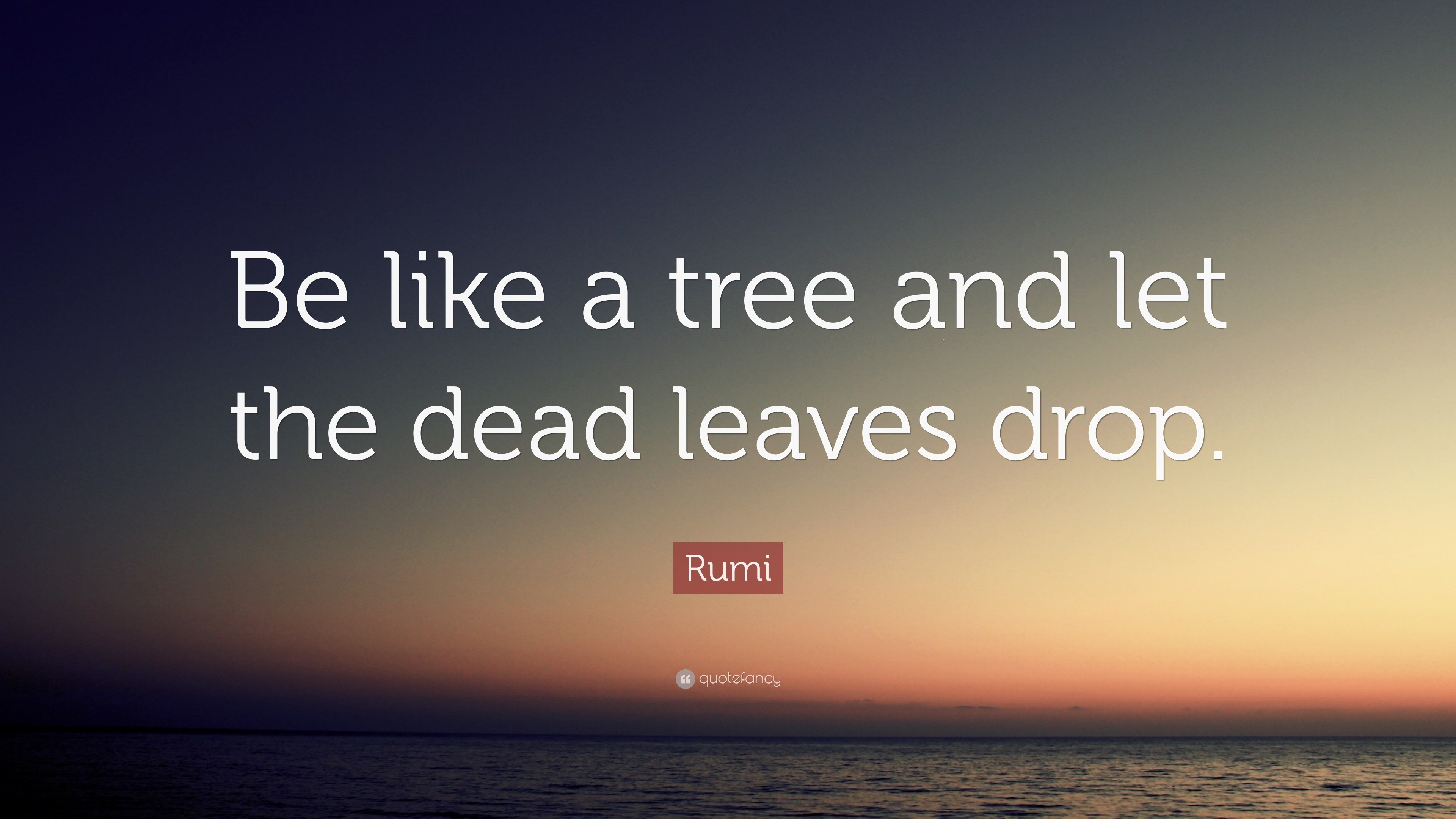 Rumi Quote “Be like a tree and let the dead leaves drop.”