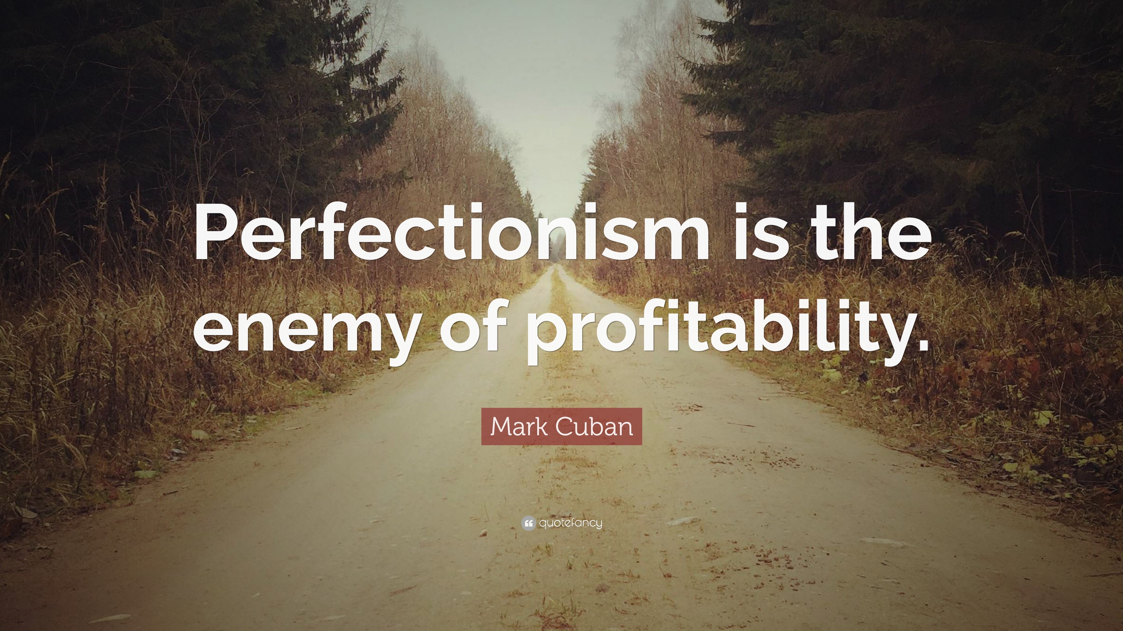 Mark Cuban Quote: "Perfectionism is the enemy of ...