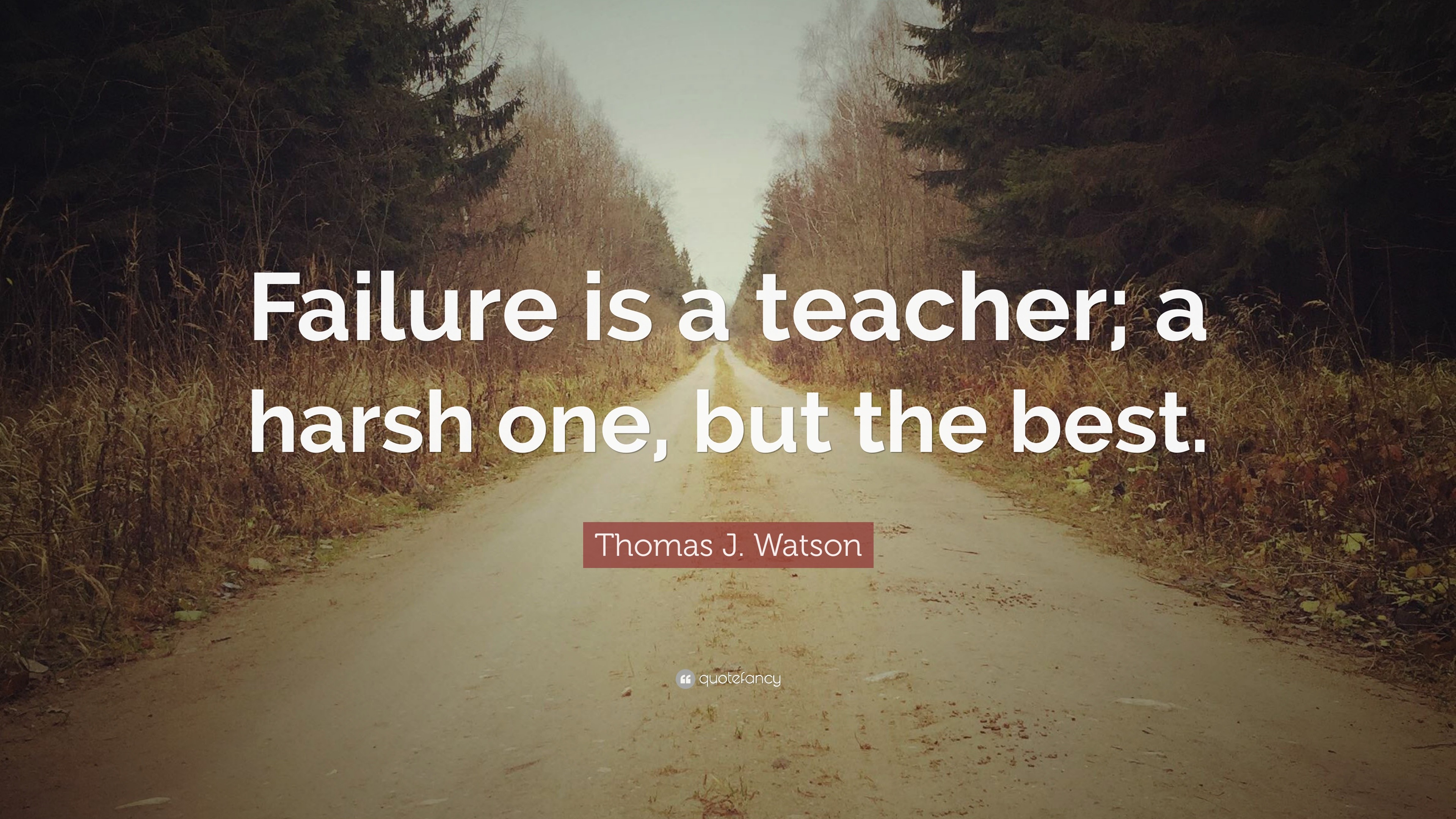 failure is the best teacher essay