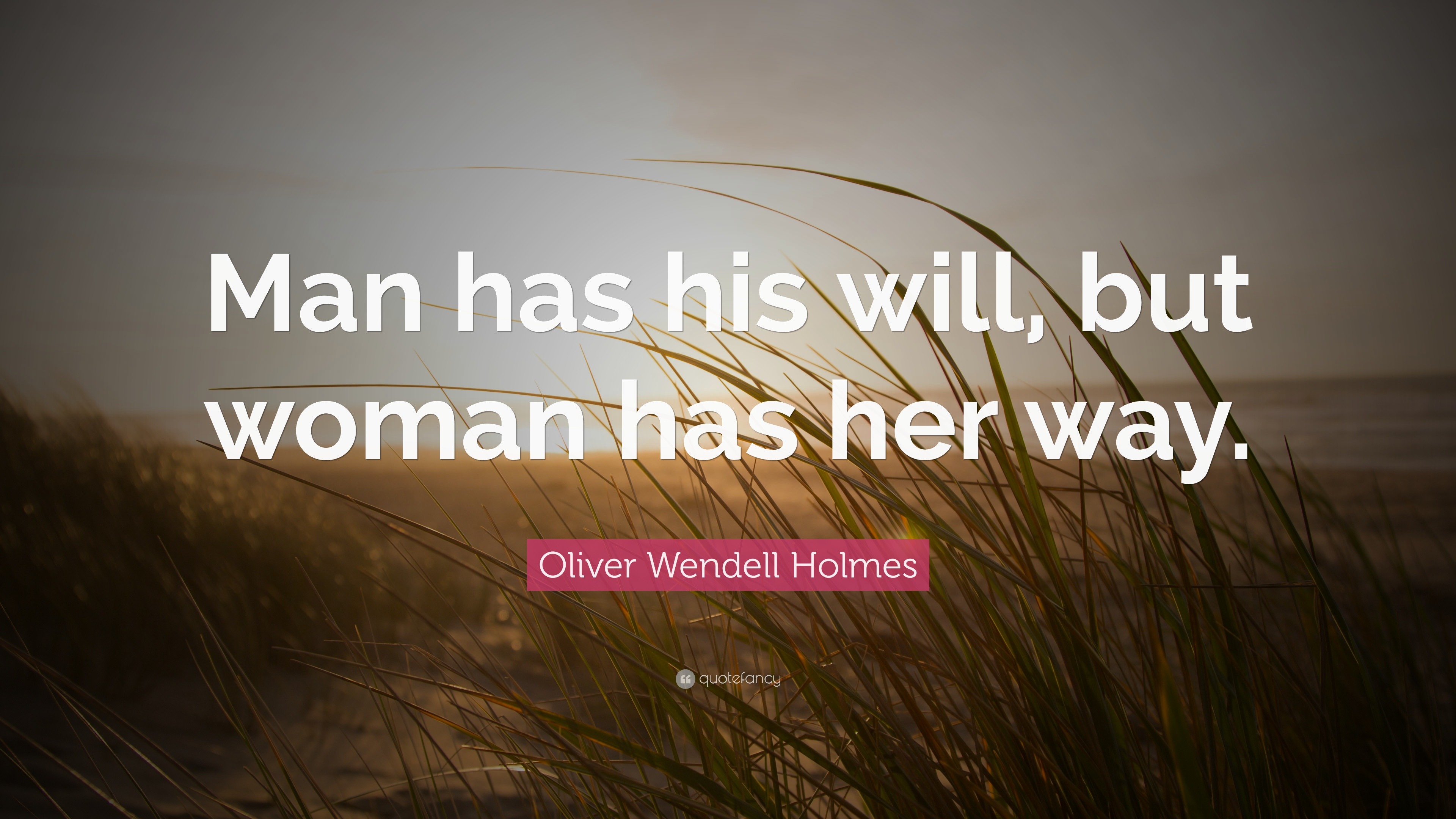 Oliver Wendell Holmes Quote: “Man has his will, but woman has her way.”