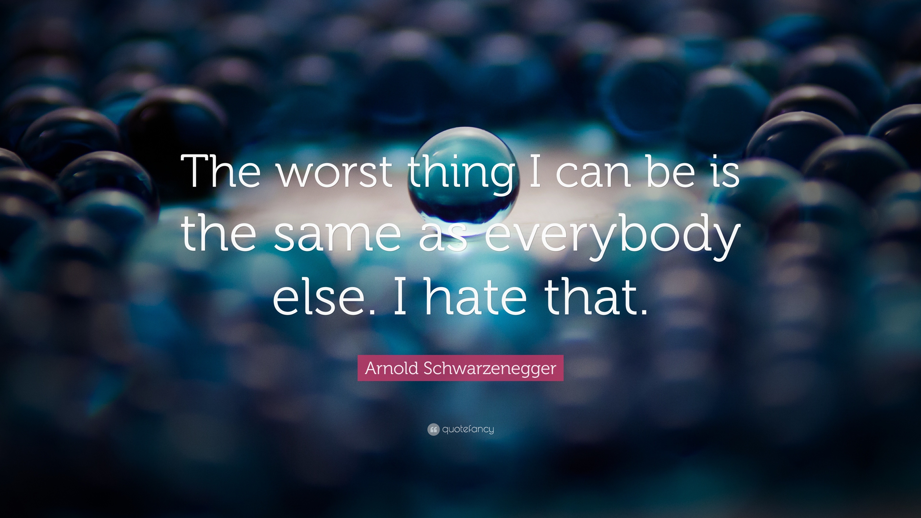 Arnold Schwarzenegger Quote The Worst Thing I Can Be Is