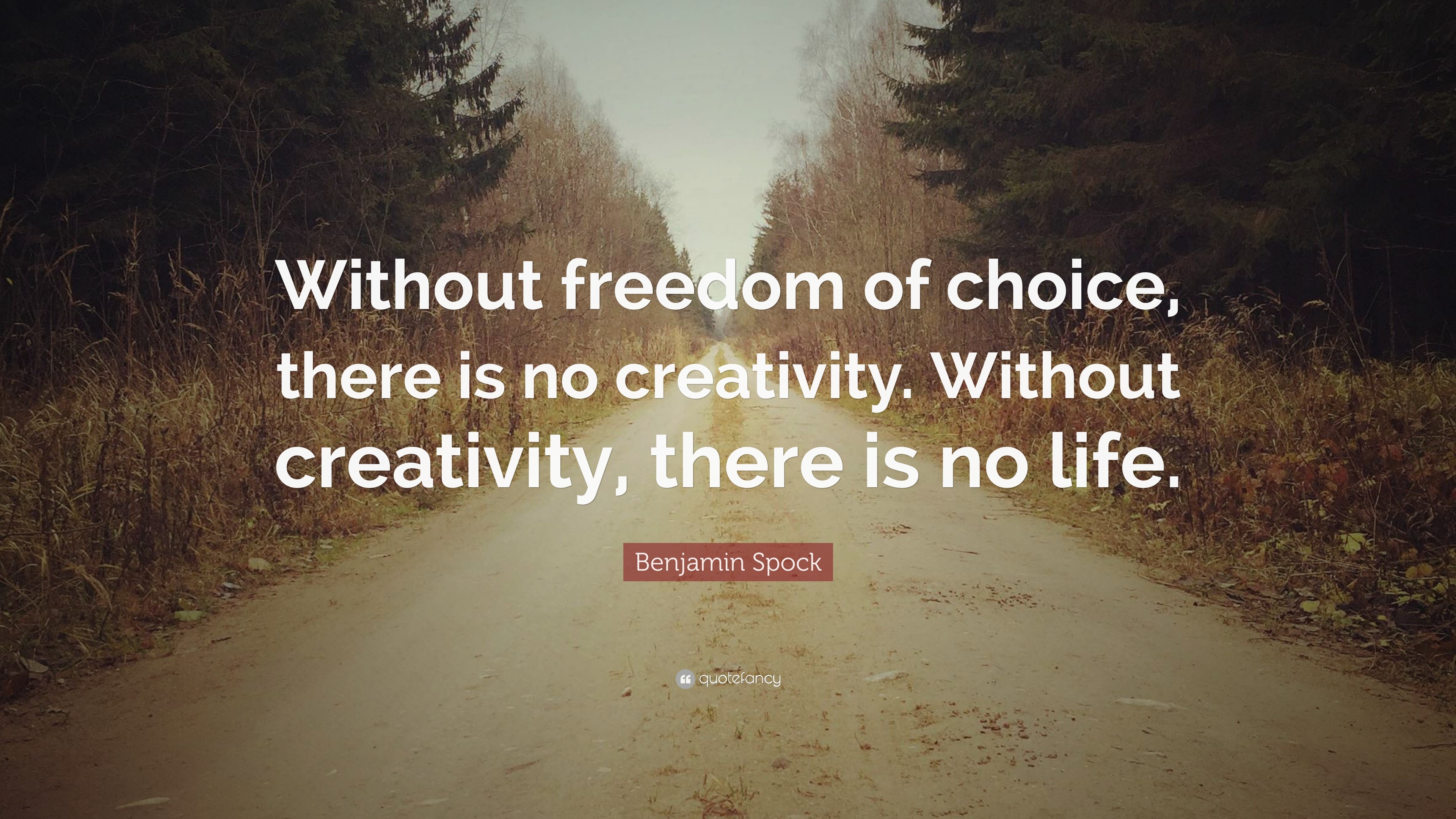 Benjamin Spock Quote: “Without freedom of choice, there is no