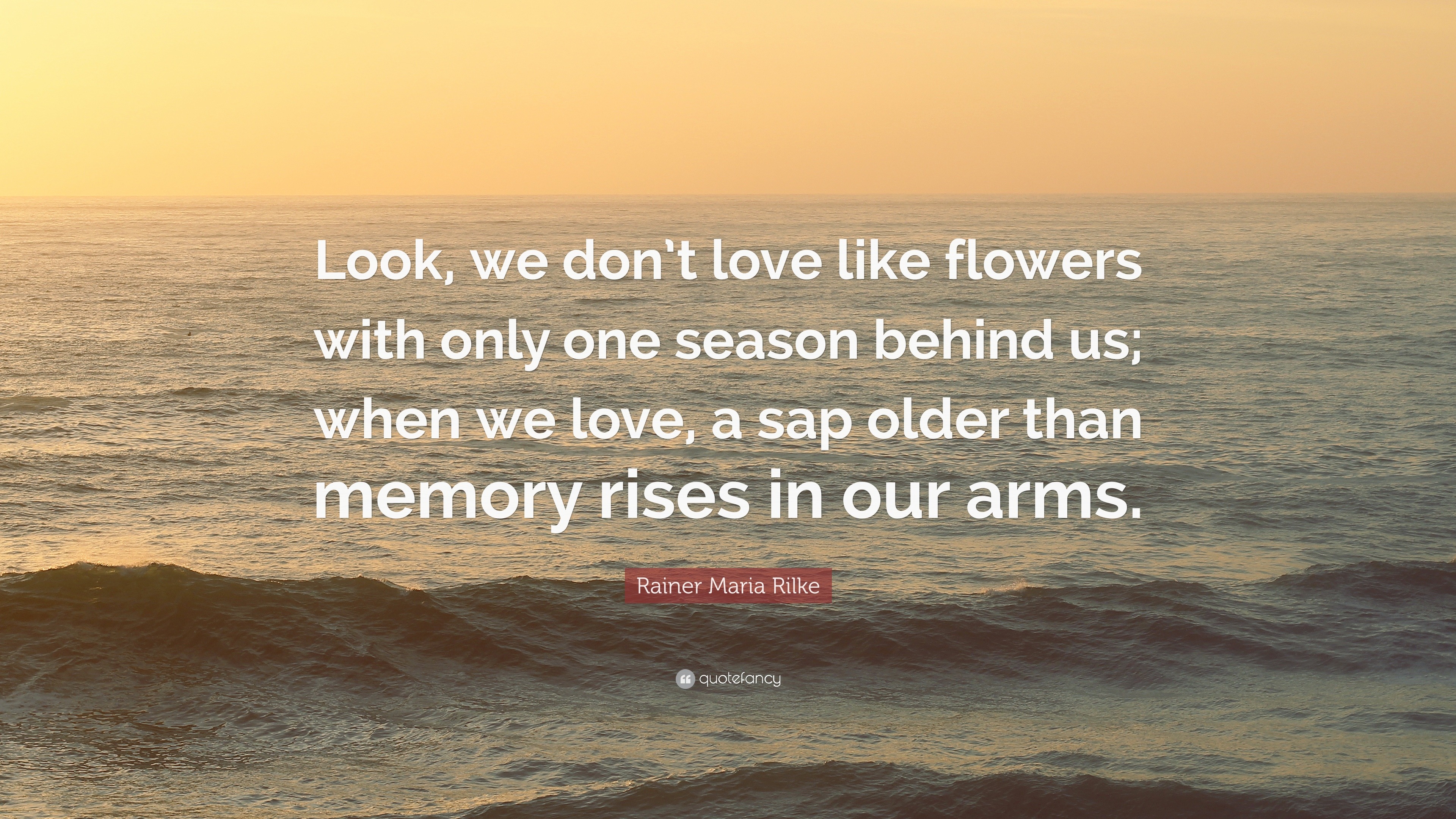 Rainer Maria Rilke Quote “Look we don t love like flowers with