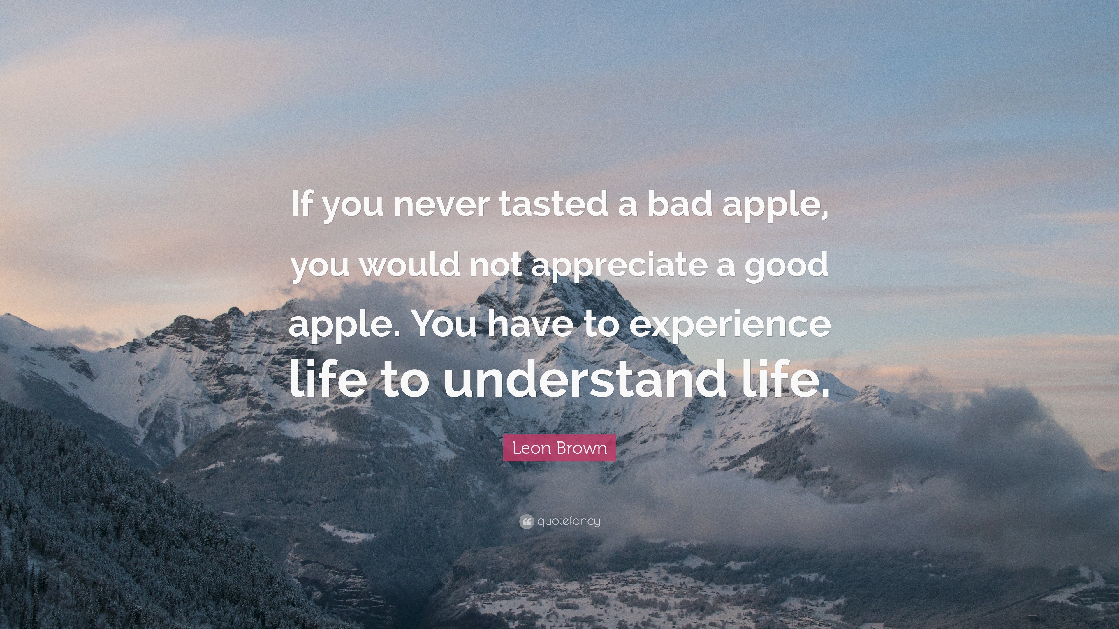 Leon Brown Quote “If you never tasted a bad apple, you would not