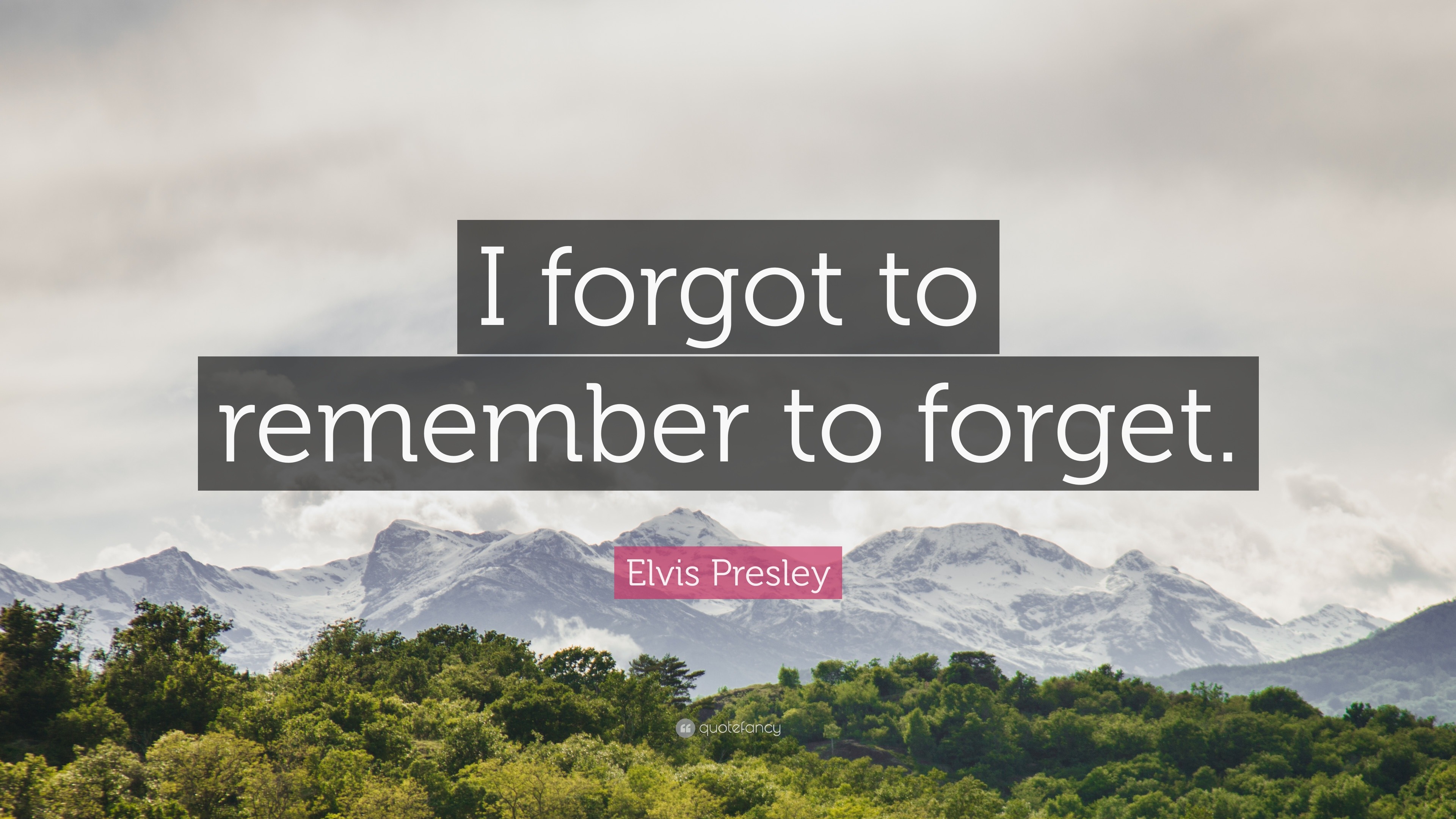 I Forgot To Remember To Forget