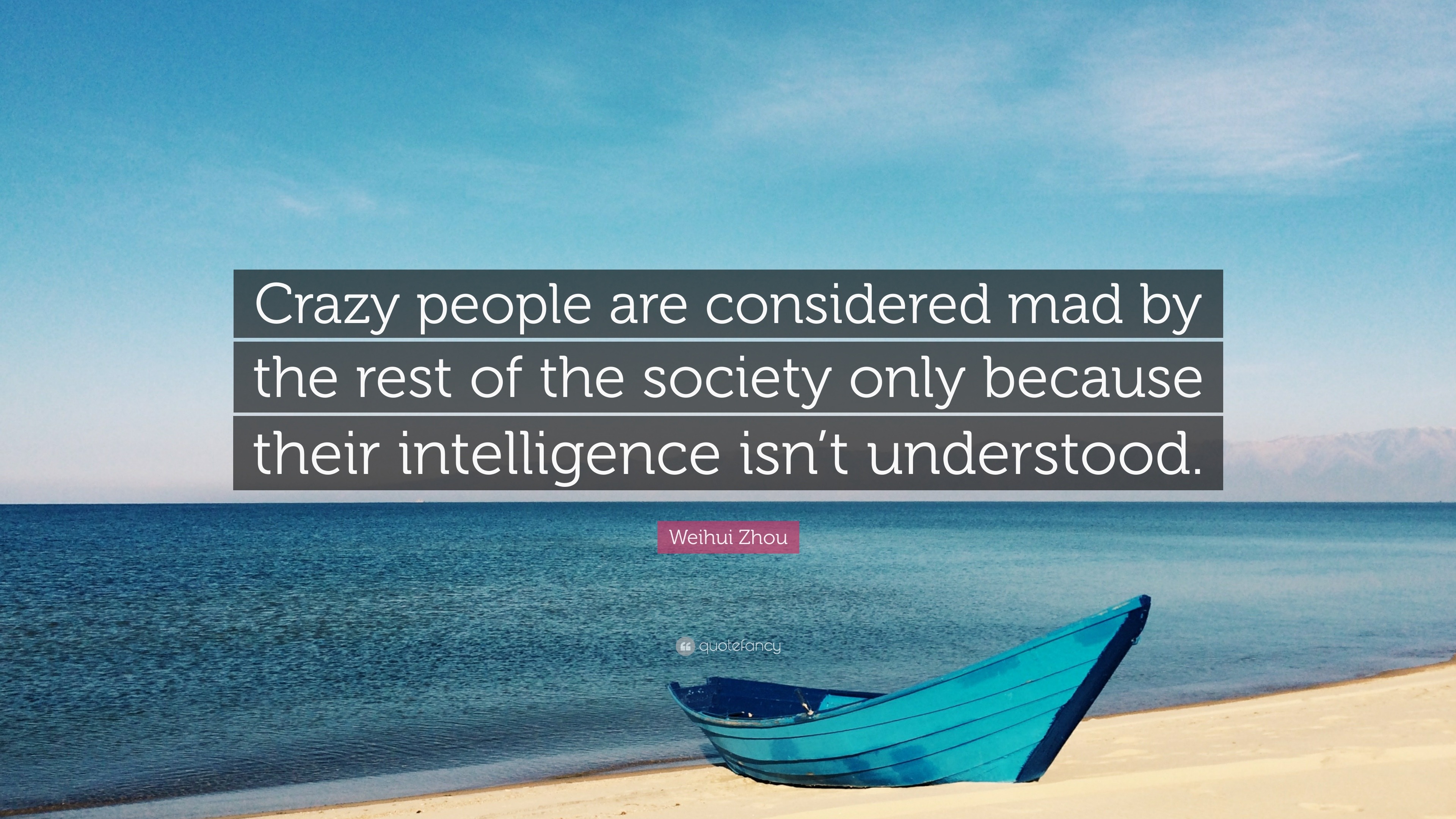 Weihui Zhou Quote Crazy People Are Considered Mad By The Rest Of The Society Only Because