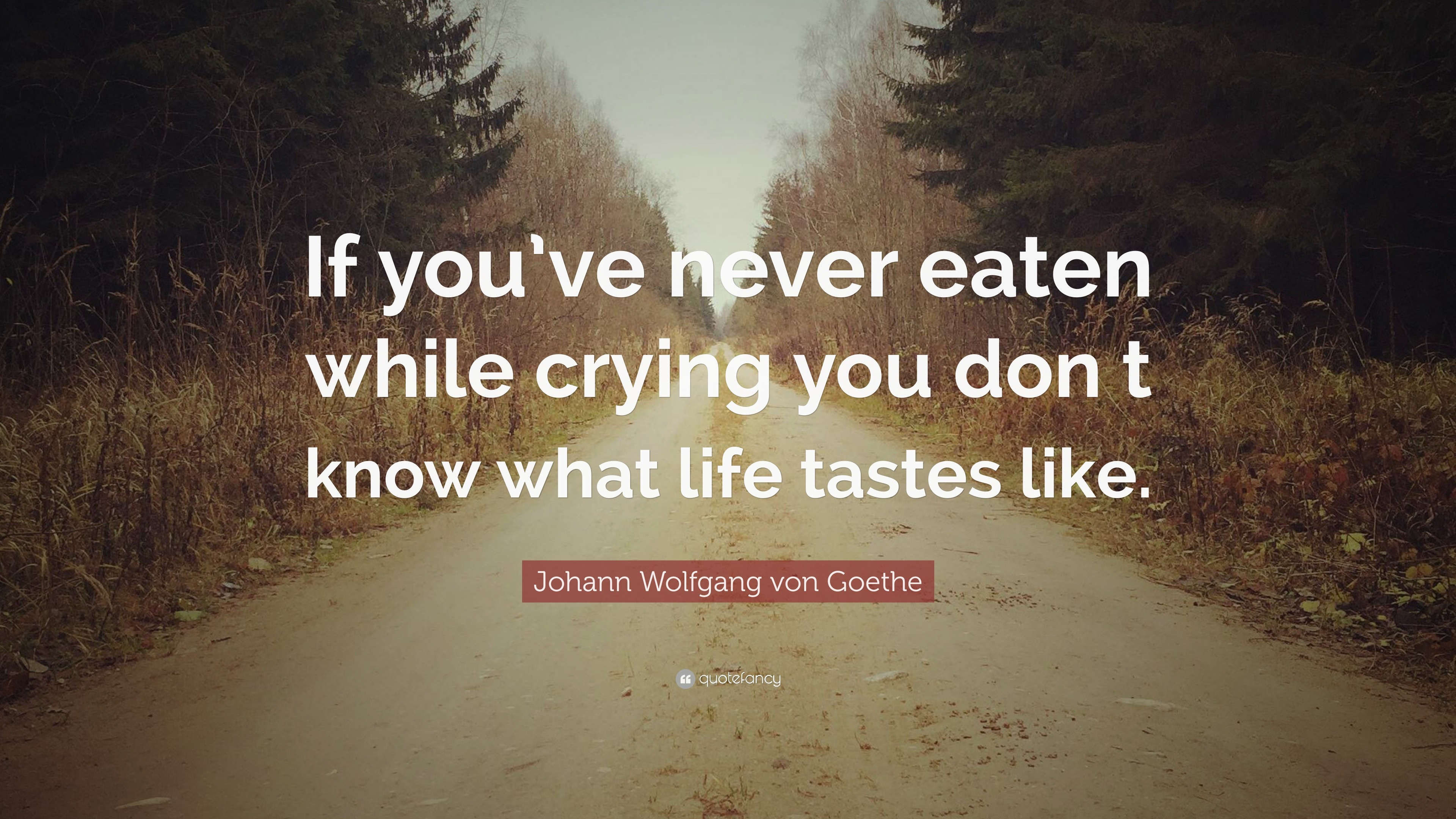 Johann Wolfgang von Goethe Quote: “If you’ve never eaten while crying ...