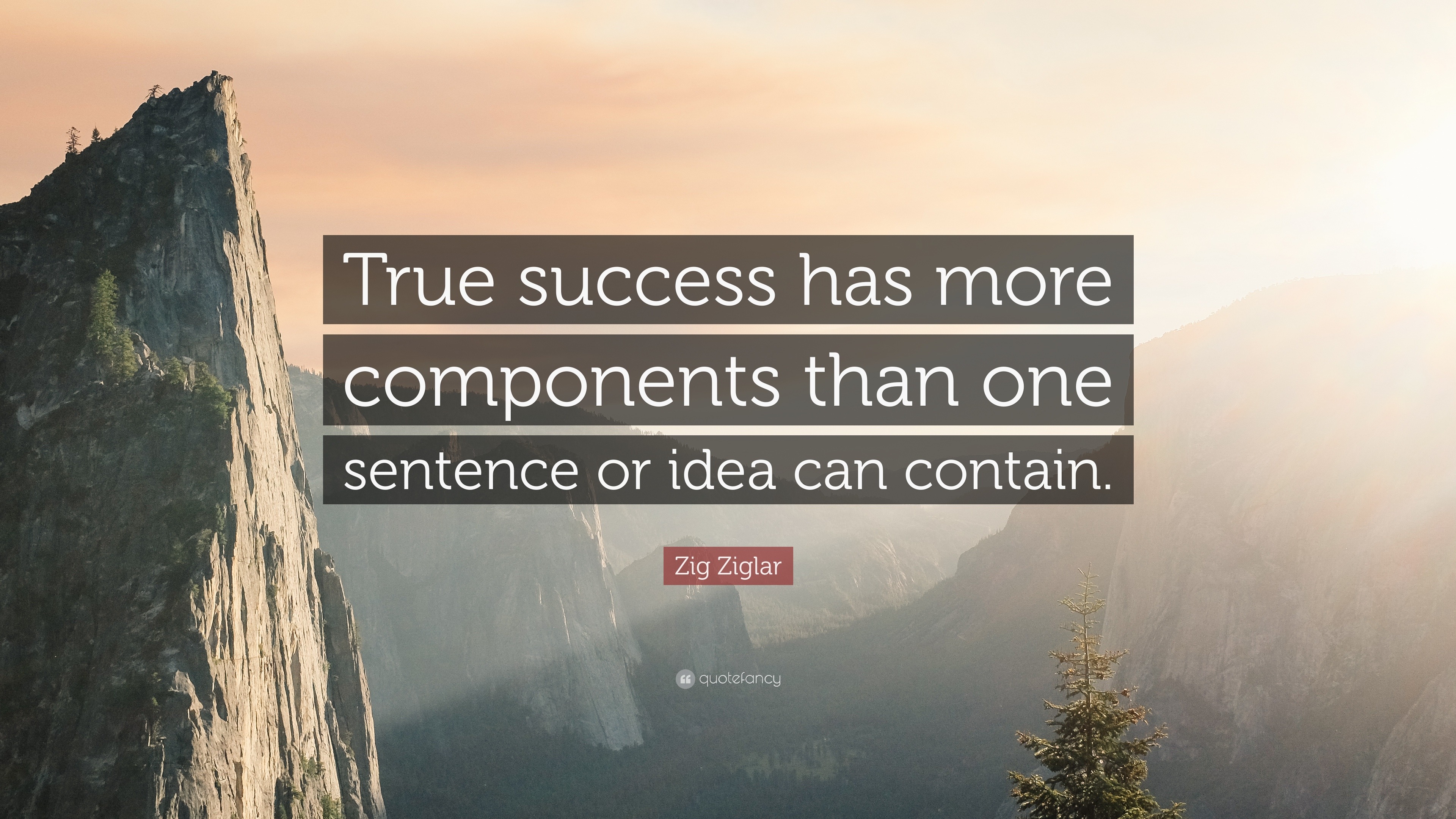 Zig Ziglar Quote: “True success has more components than one sentence ...