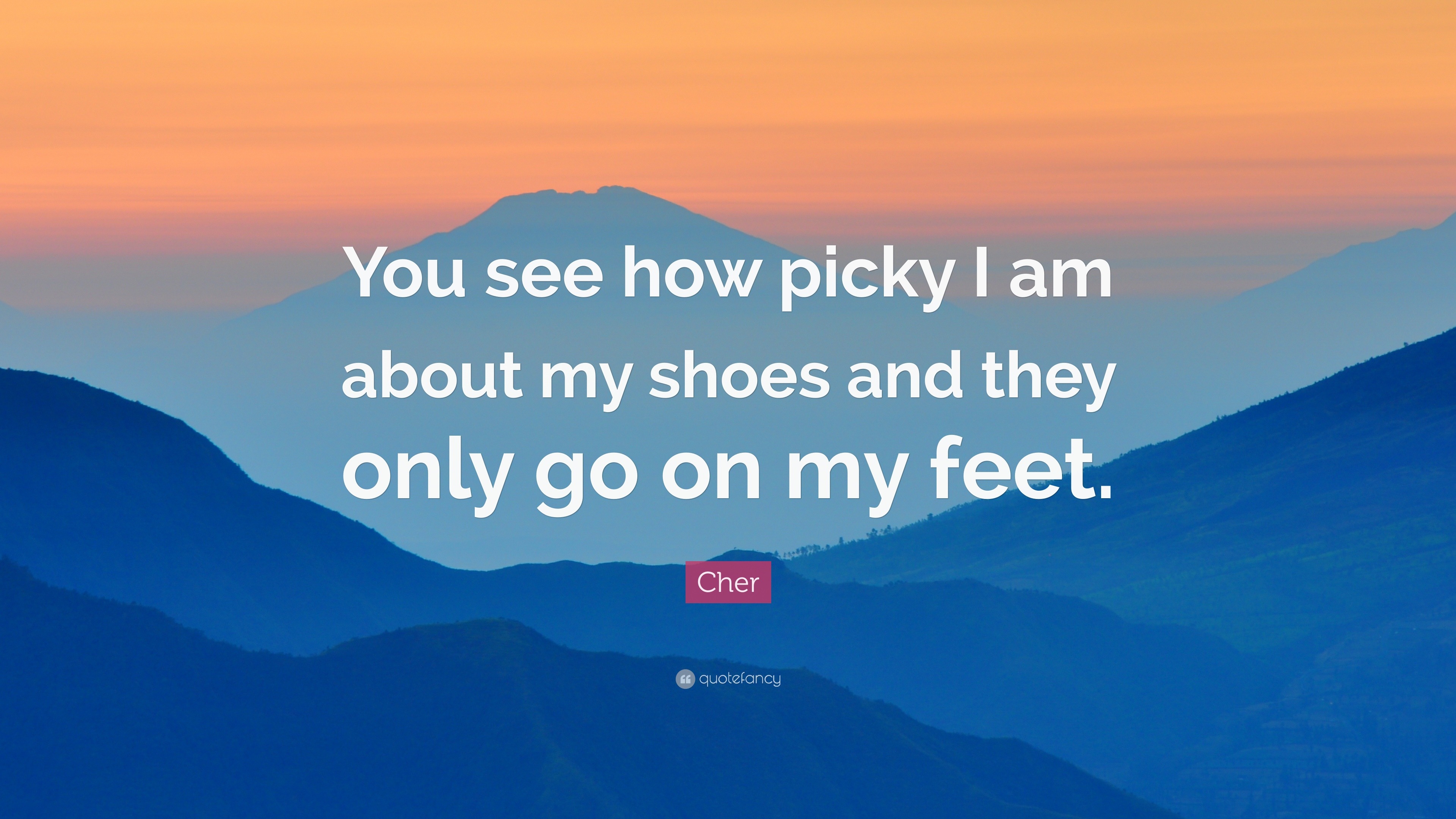 cher-quote-you-see-how-picky-i-am-about-my-shoes-and-they-only-go-on