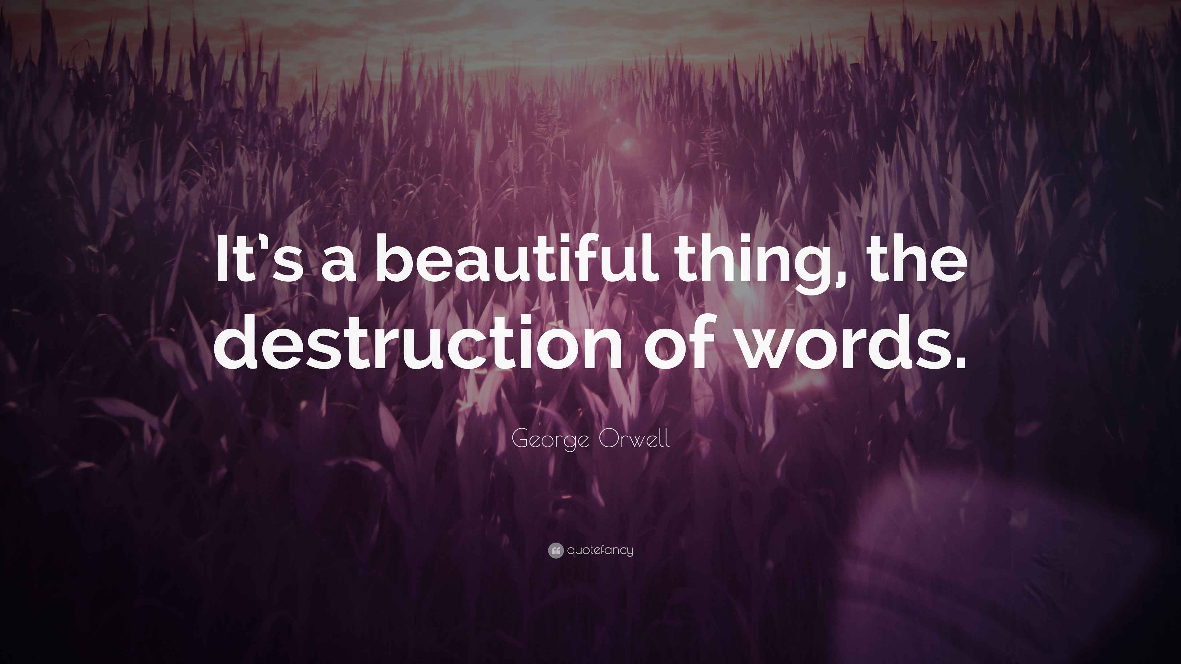 Orwell Quote “It’s a beautiful thing, the destruction of words.”