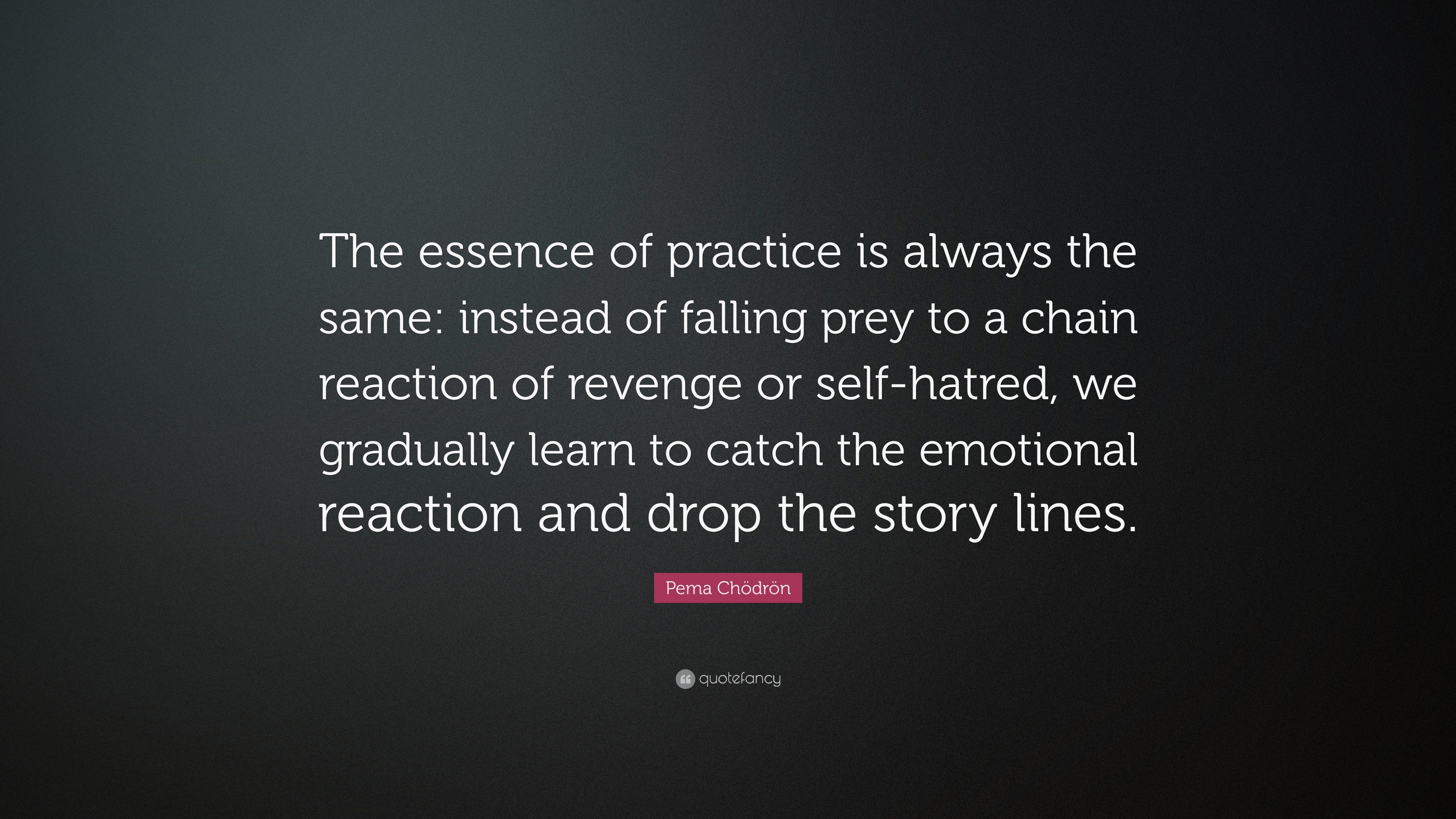 Pema Chödrön Quote “The essence of practice is always the same instead of falling prey to a