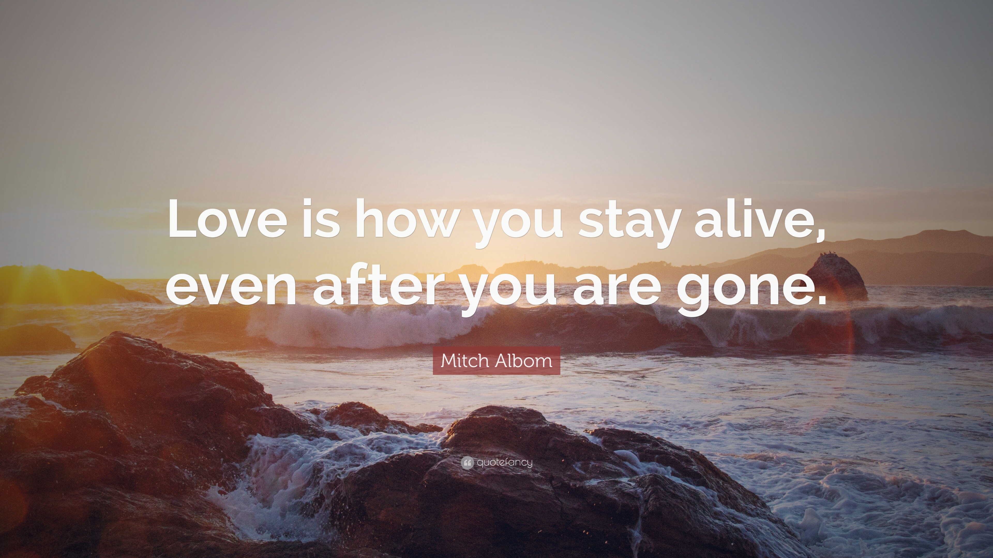 Mitch Albom Quote: “Love is how you stay alive, even after you are gone.”