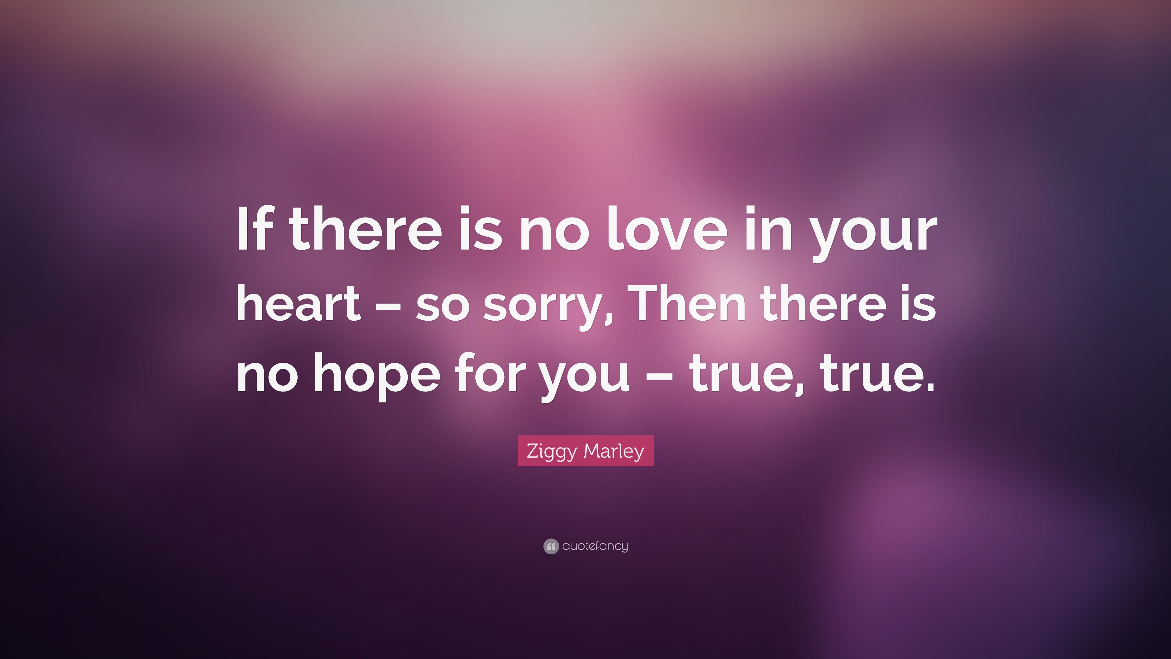 Ziggy Marley Quote “If there is no love in your heart – so sorry