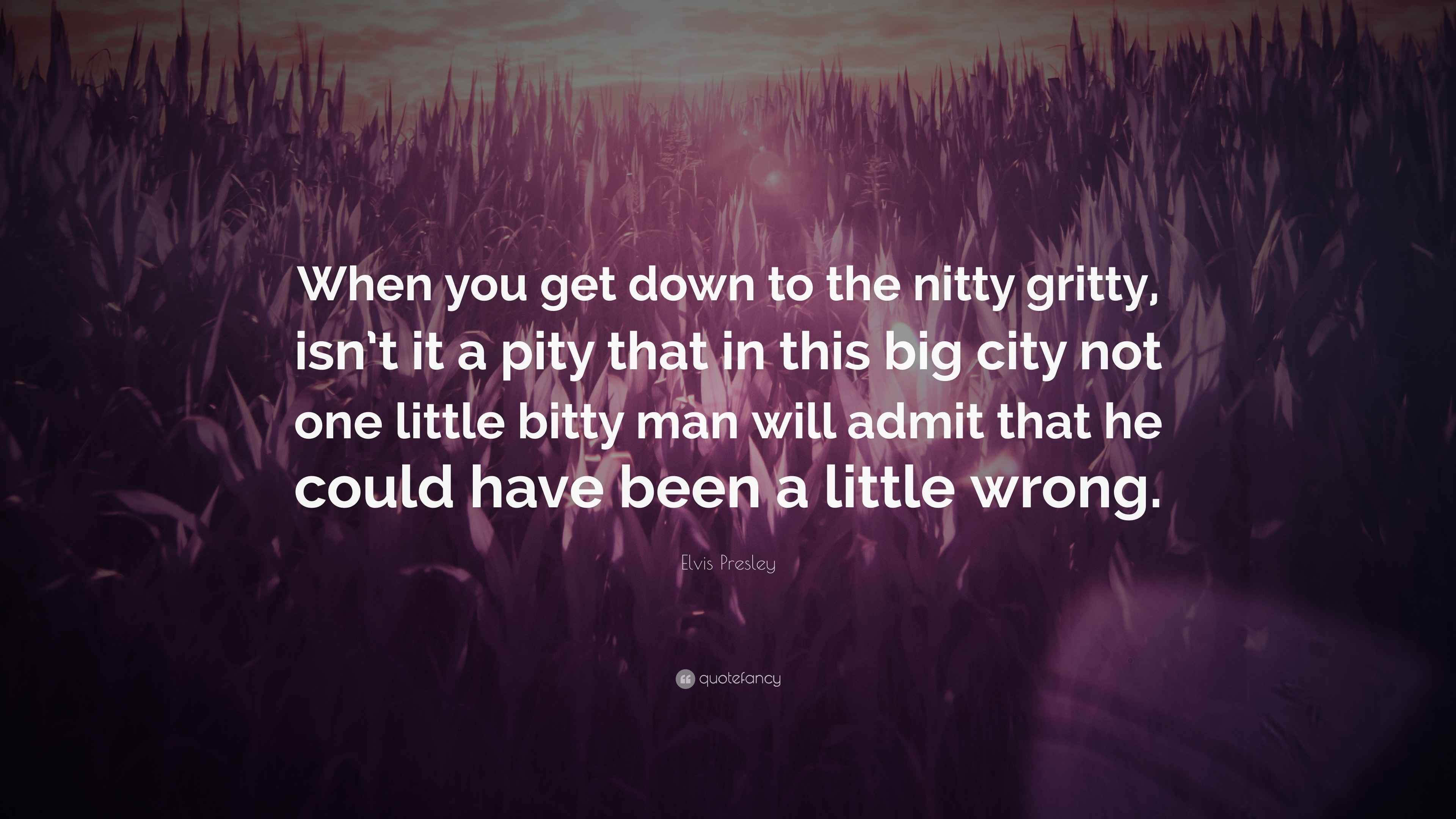 Elvis Presley Quote When You Get Down To The Nitty Gritty Isn t It A 
