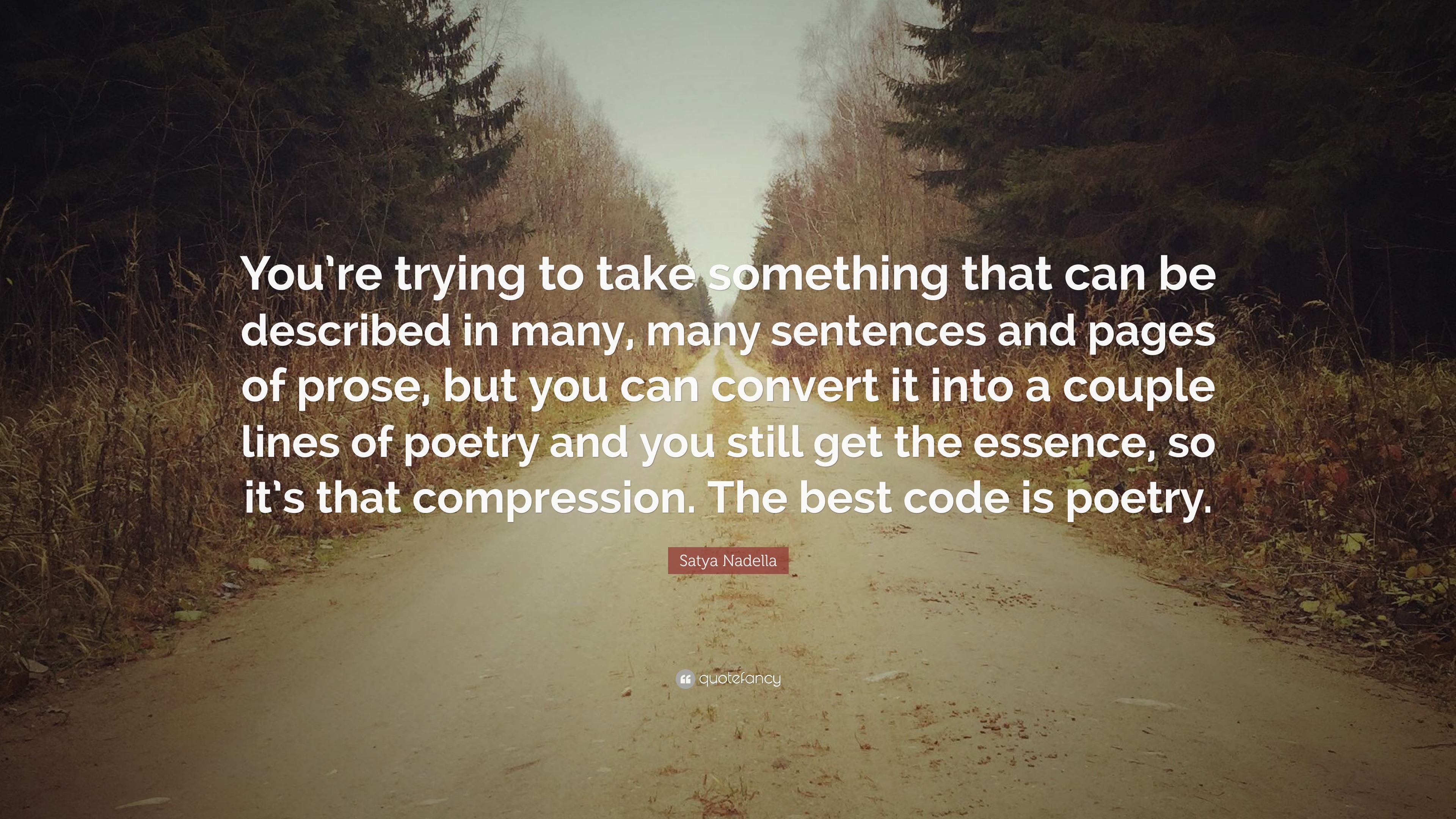 Satya Nadella Quote: “You’re trying to take something that can be ...