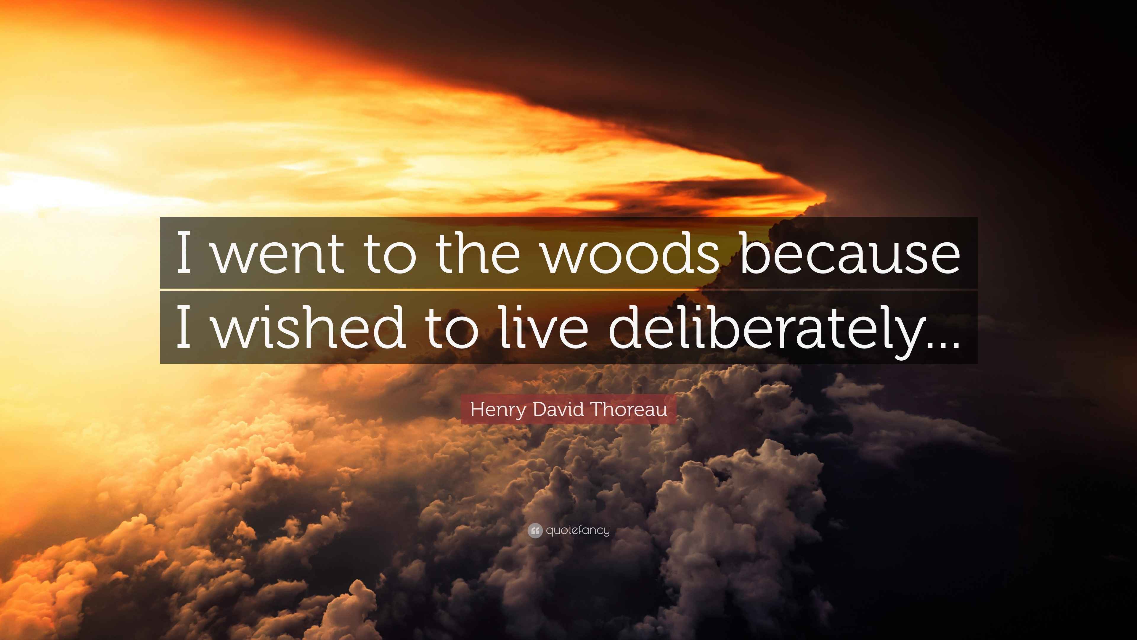 Henry David Thoreau Quote: “I went to the woods because I wished to ...
