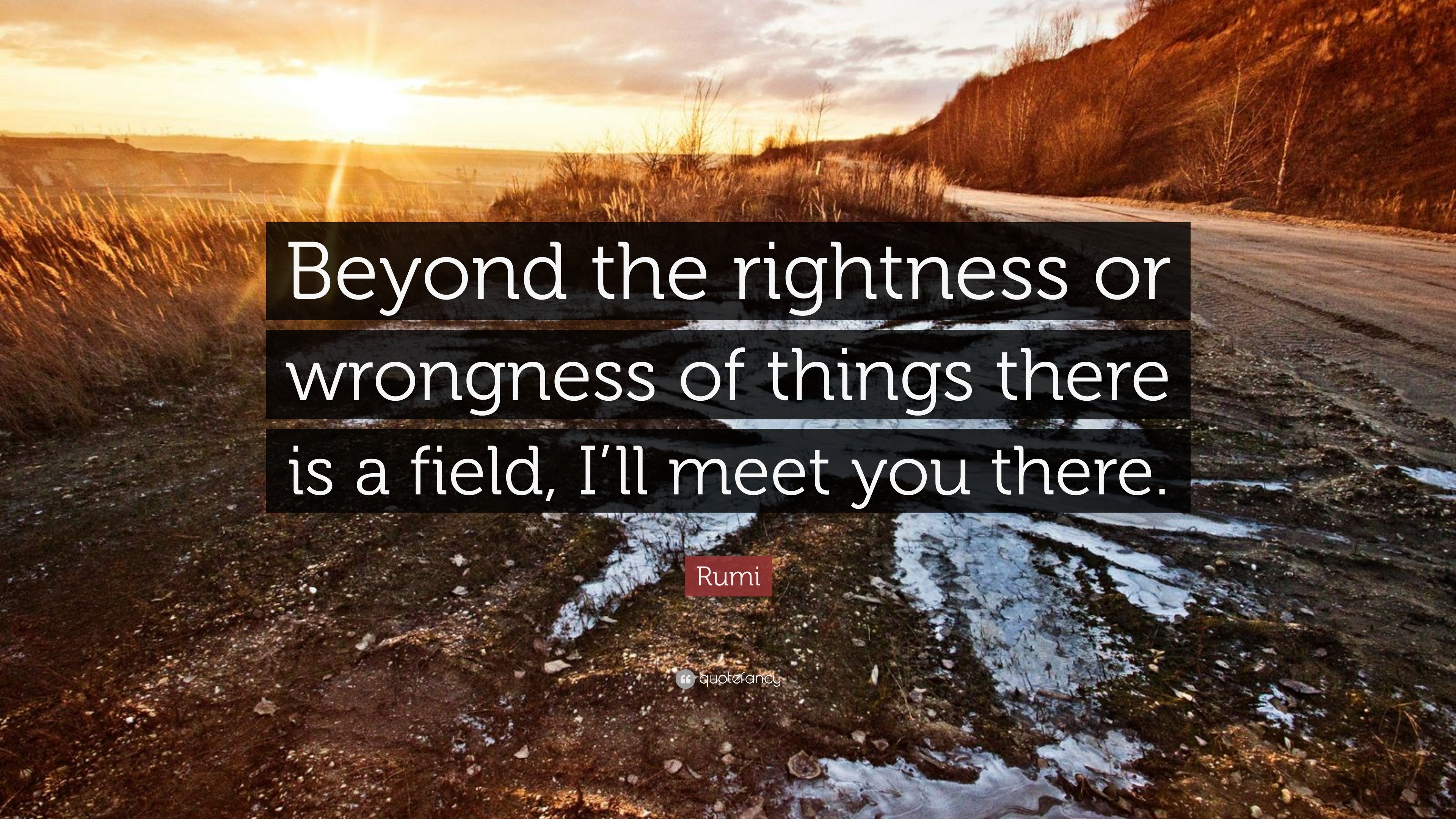 Rumi Quote: “Beyond the rightness or wrongness of things there is a