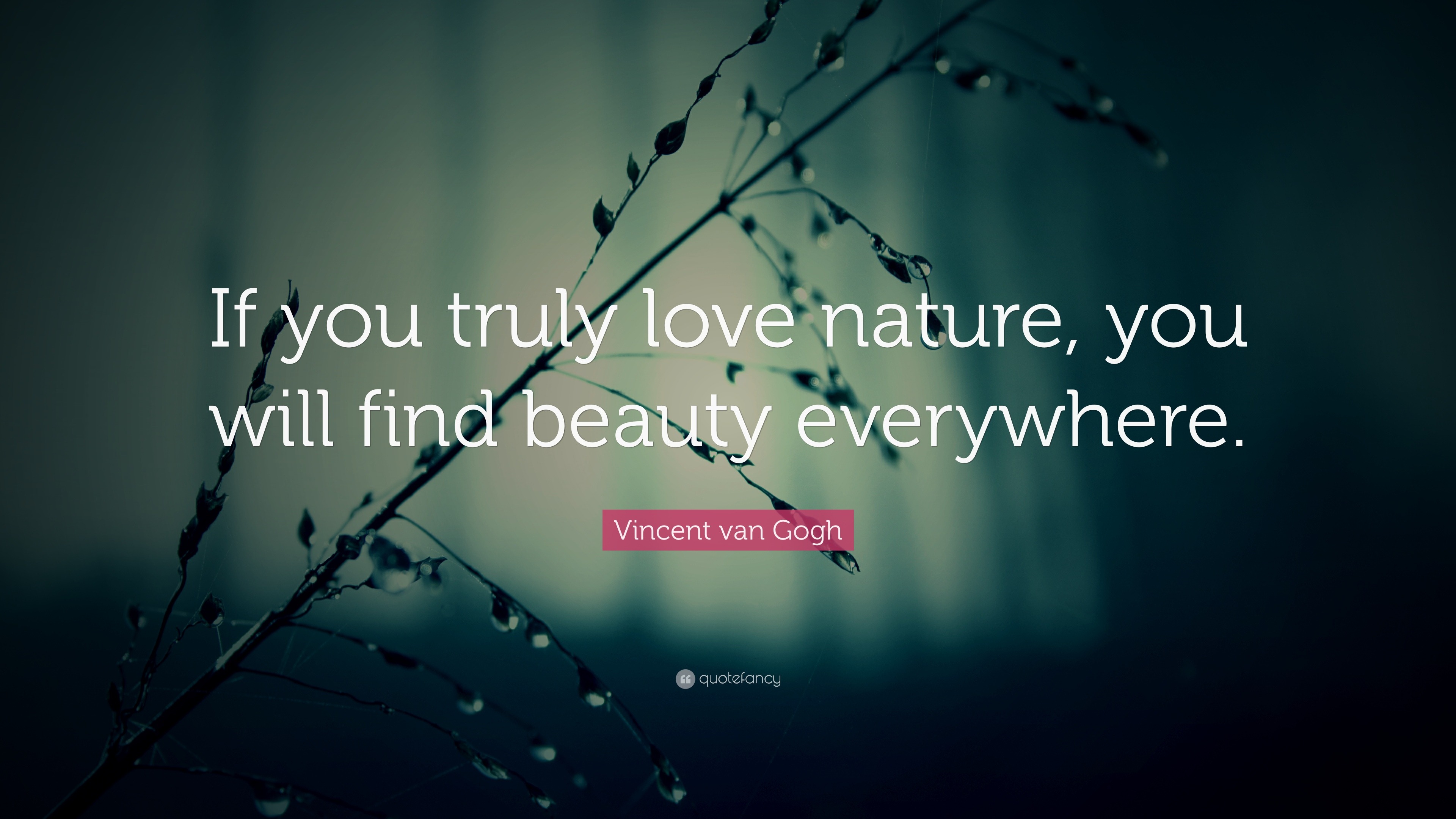 Vincent van Gogh Quote “If you truly love nature you will find beauty