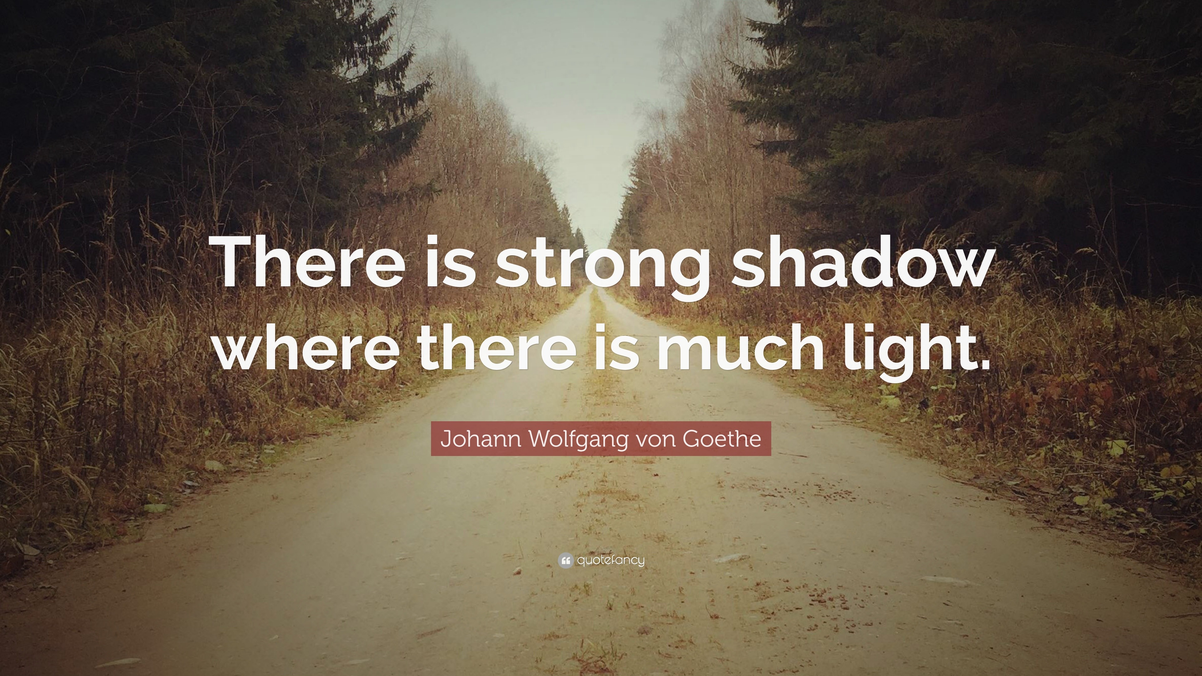 Johann Wolfgang von Goethe Quote “There is strong shadow where there