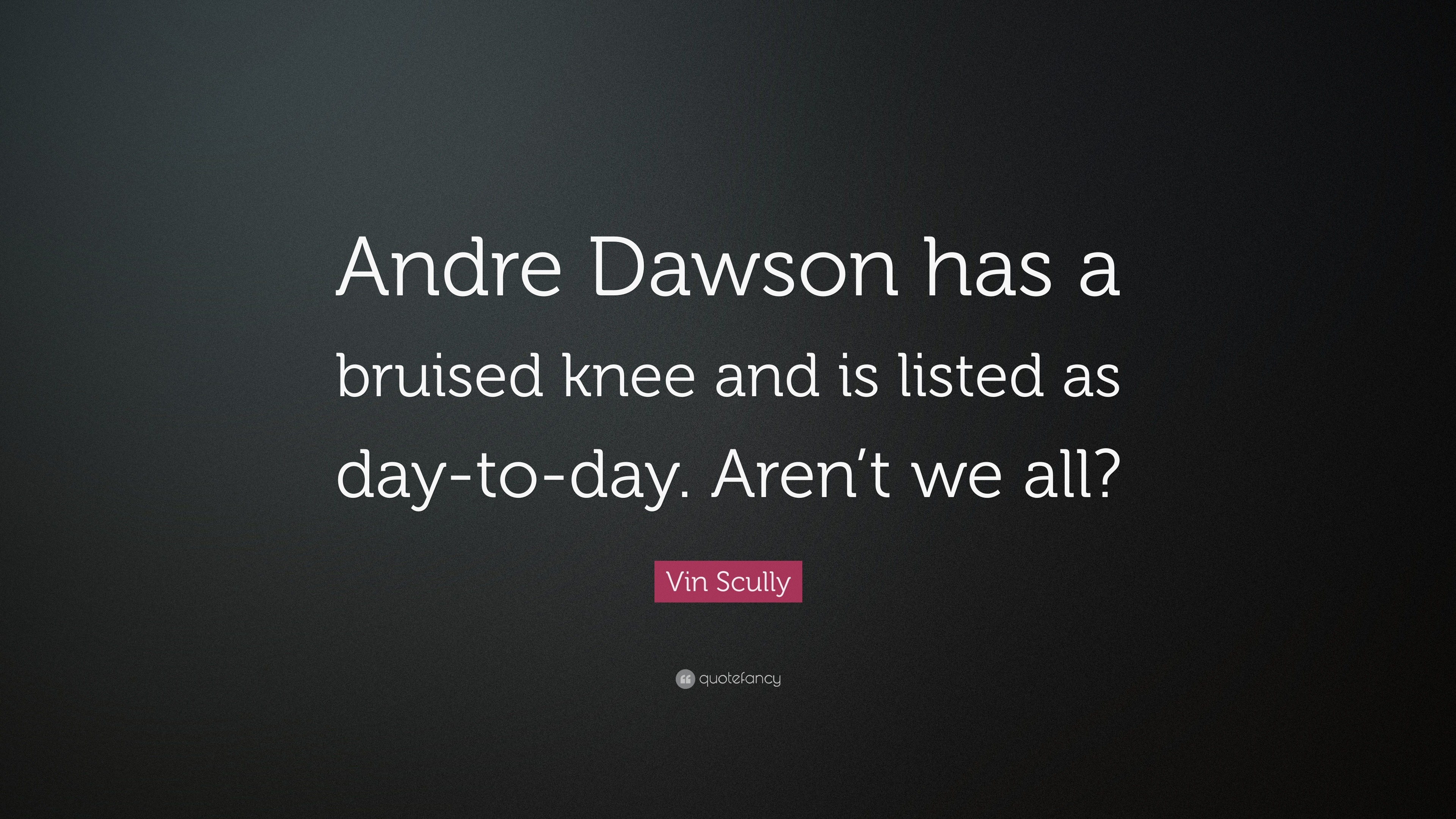 Andre dawson hasVin Scully Inspirational Quote | Poster