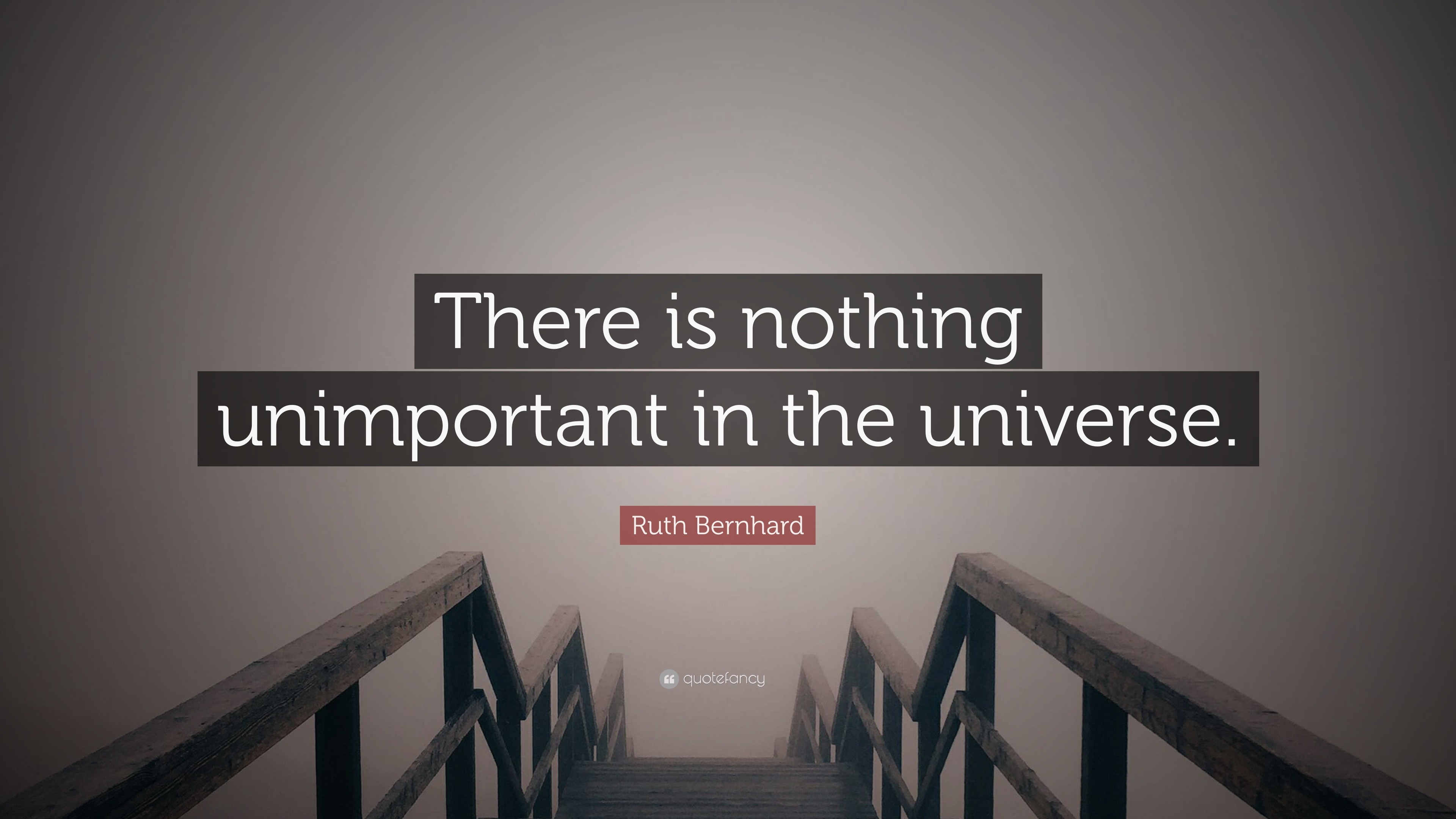 Ruth Bernhard Quote: “There is nothing unimportant in the universe.”