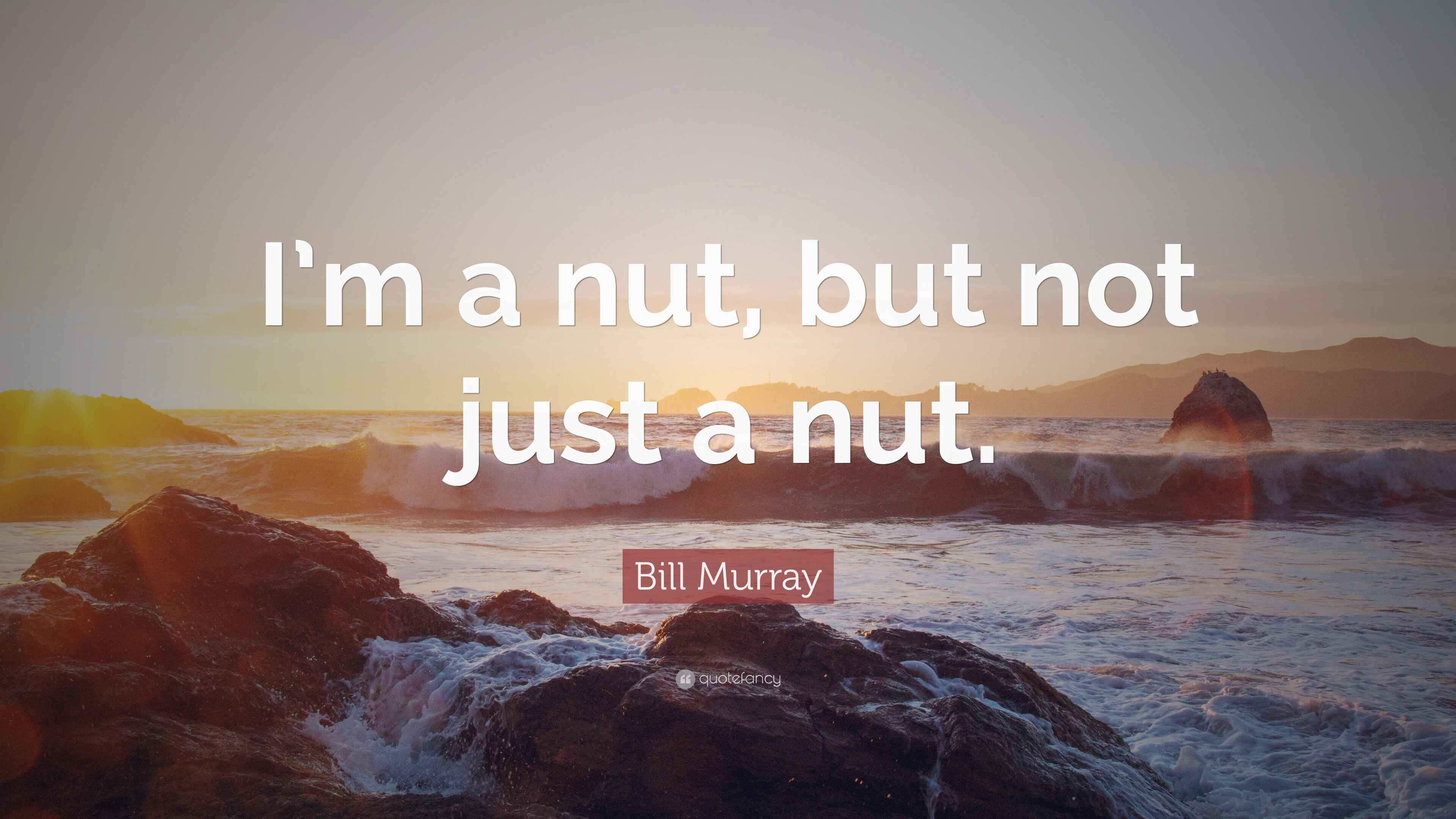 Bill Murray Quote “I’m a nut, but not just a nut.”