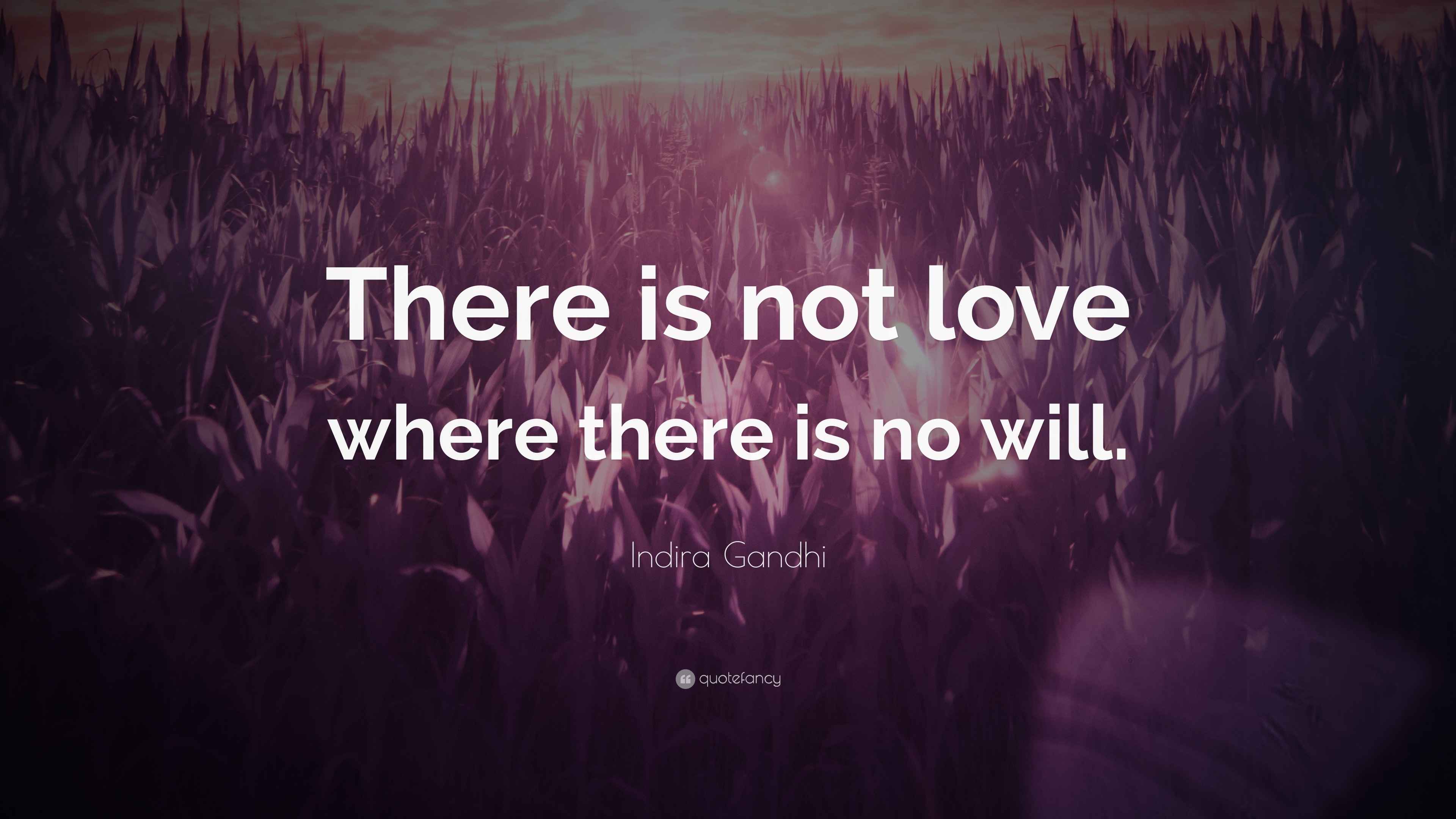 Indira Gandhi Quote: “There is not love where there is no will.”, image size:3840x2160
