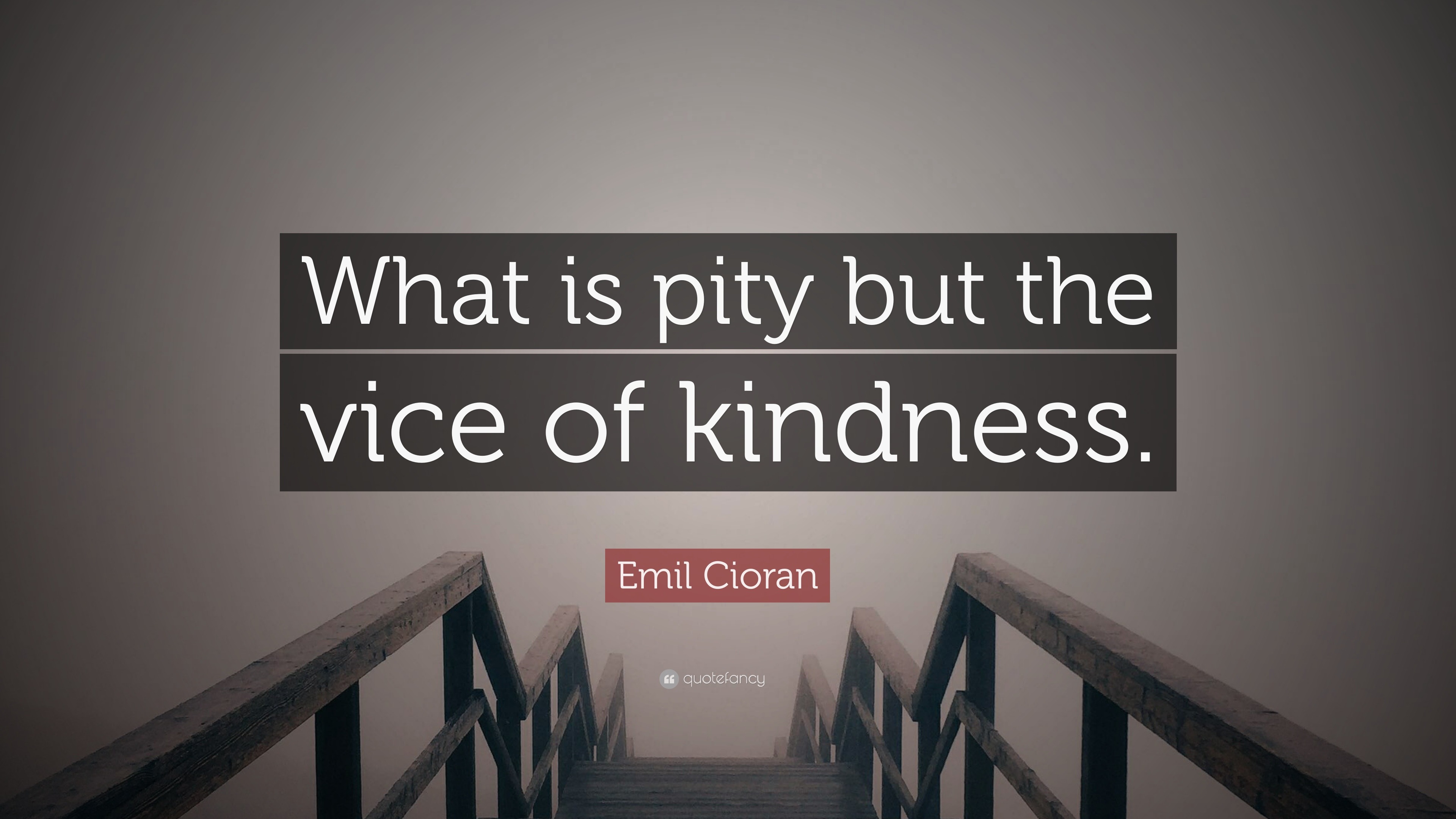 Emil Cioran Quote: “What is pity but the vice of kindness.”