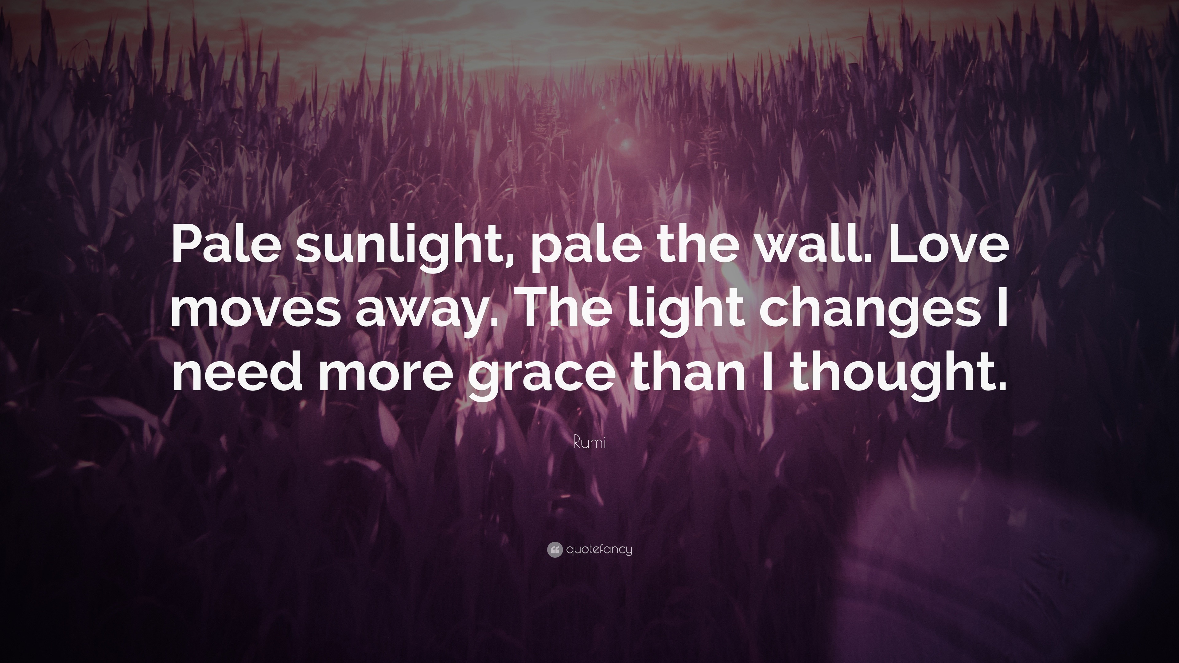 –Rumi Pale Sunlight Love Moves Away The Light Changes I Need More Grace than I Thought Pale the Wall
