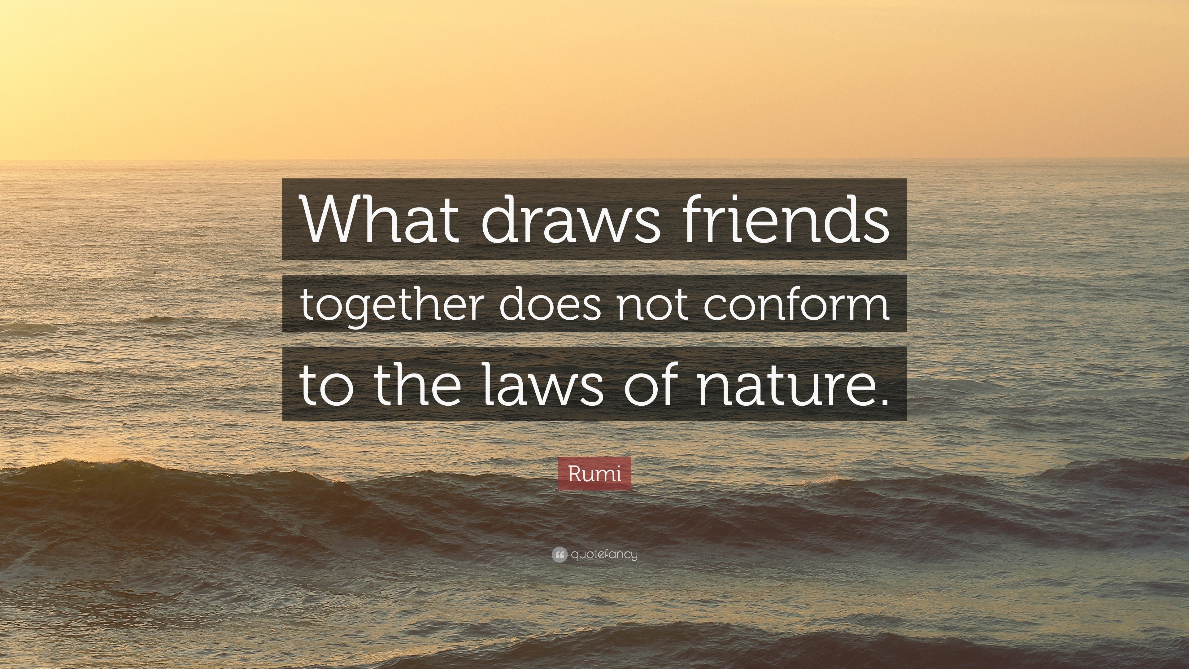 Rumi Quote: “What draws friends together does not conform to the laws