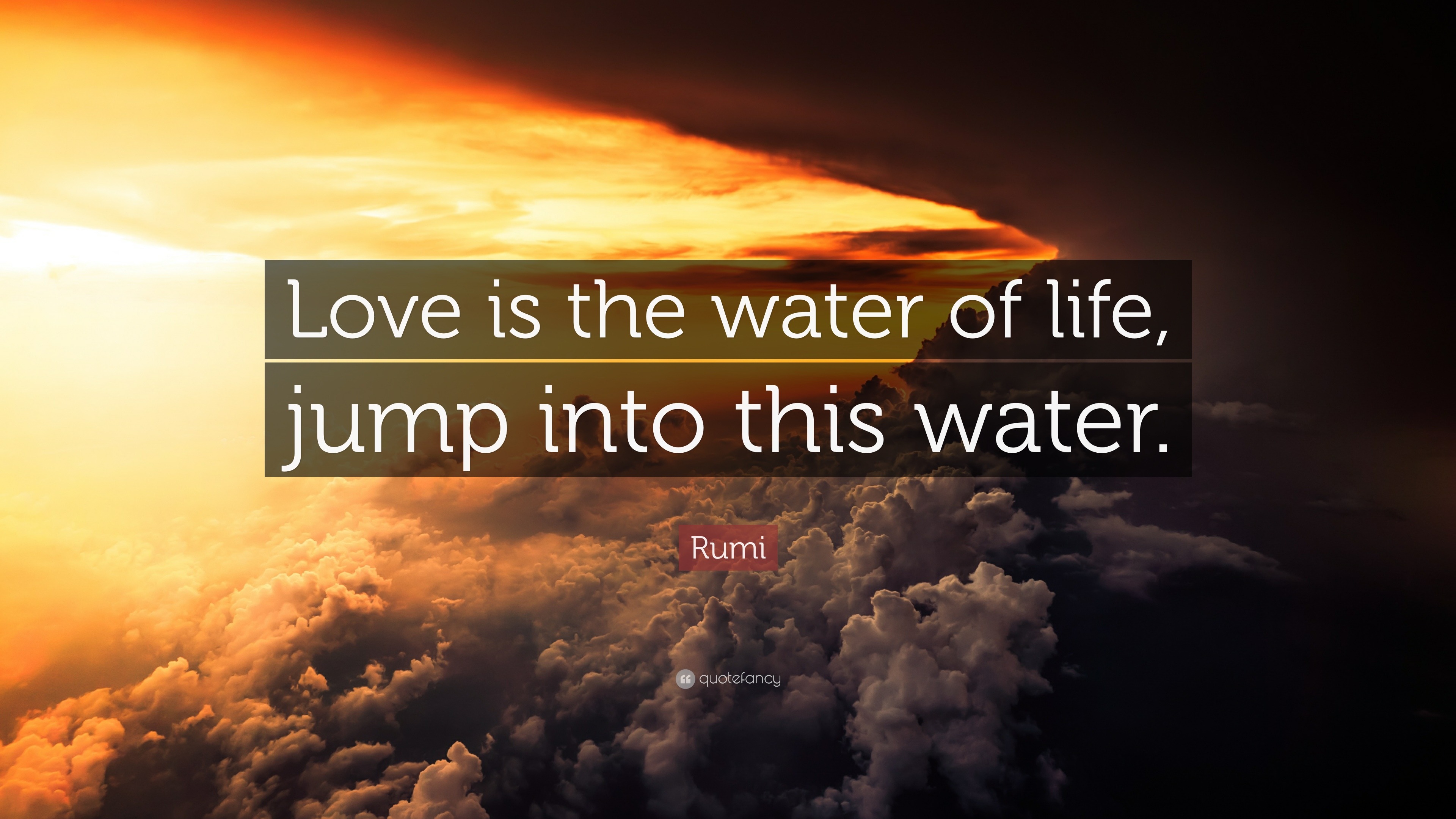 Rumi Quote “Love is the water of life jump into this water
