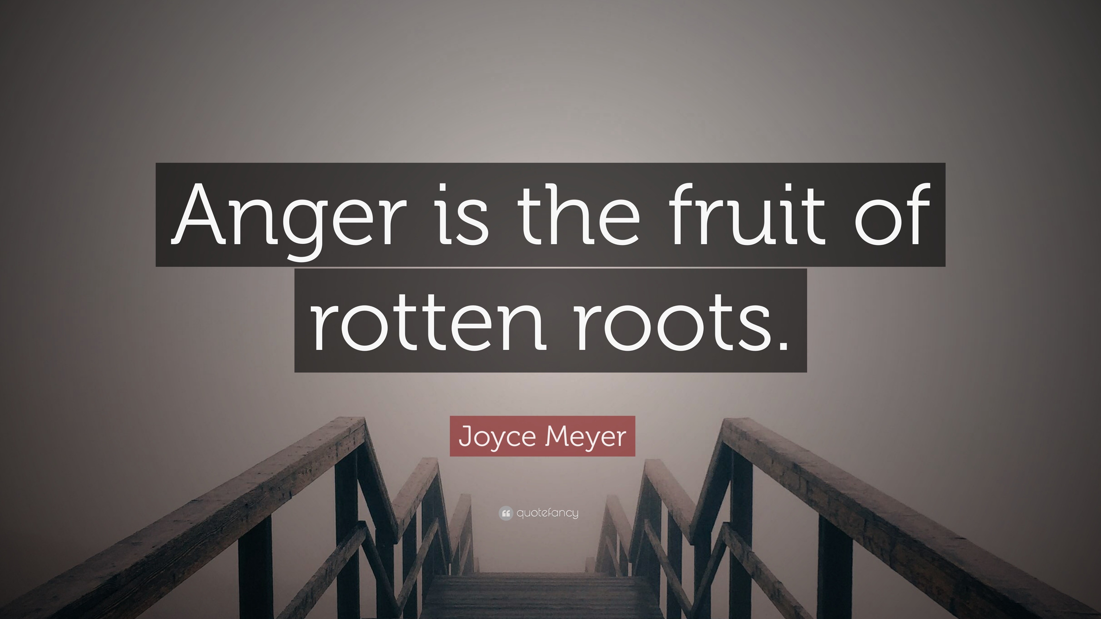 Joyce Meyer Quote “Anger is the fruit of rotten roots.”