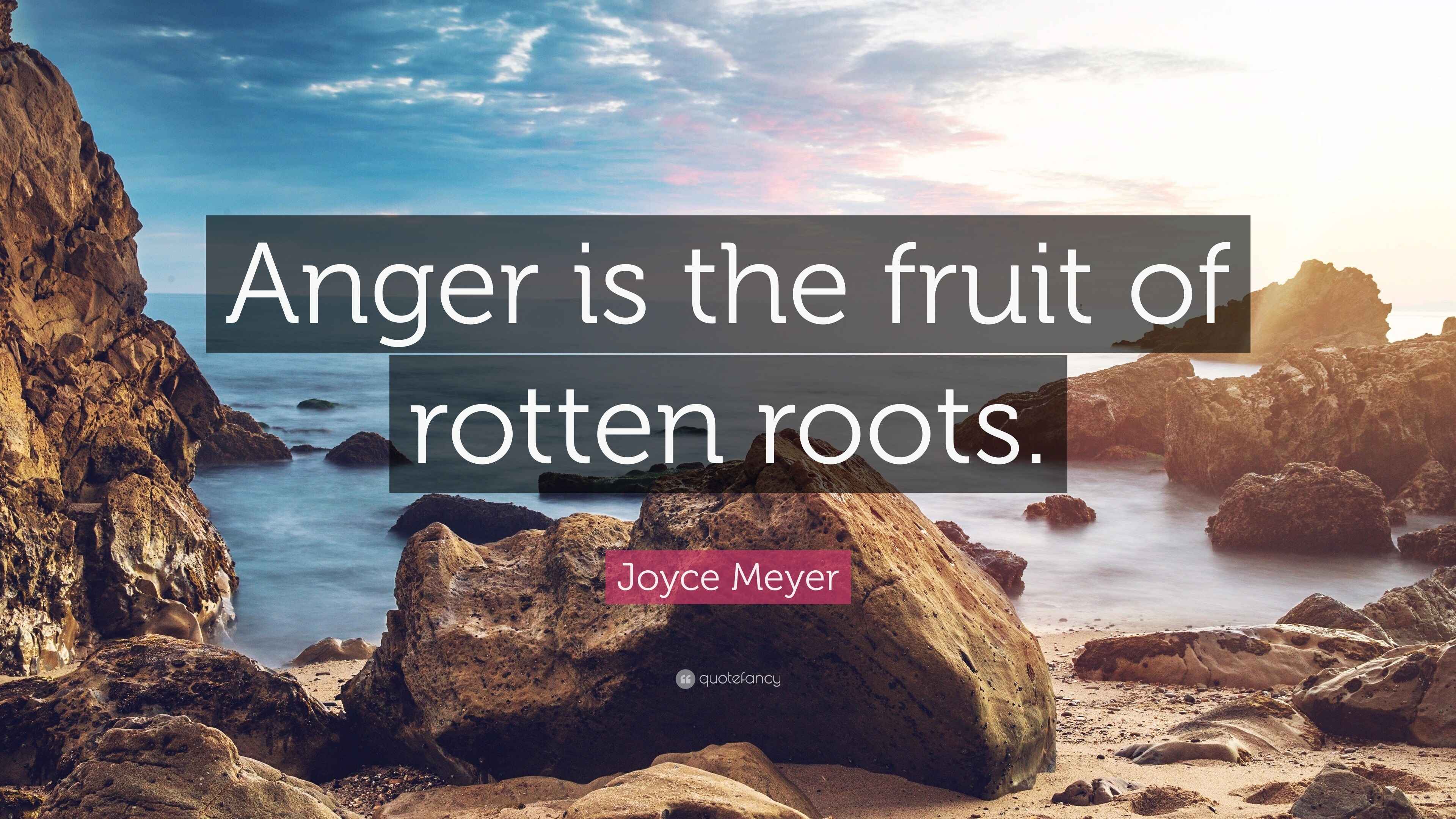 Joyce Meyer Quote: “Anger is the fruit of rotten roots.”