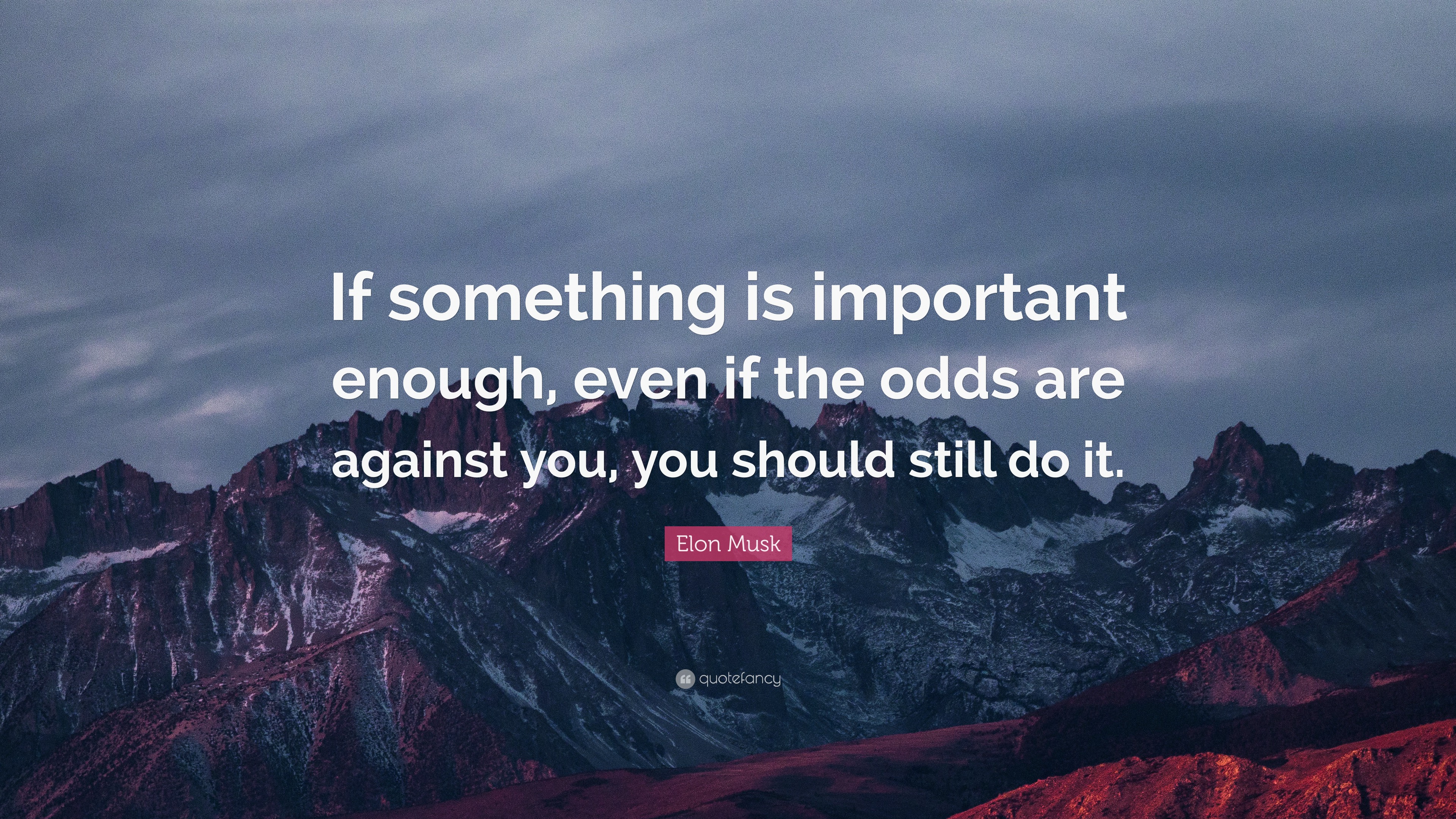 Elon Musk Quote: “If something is important enough, even if the odds ...