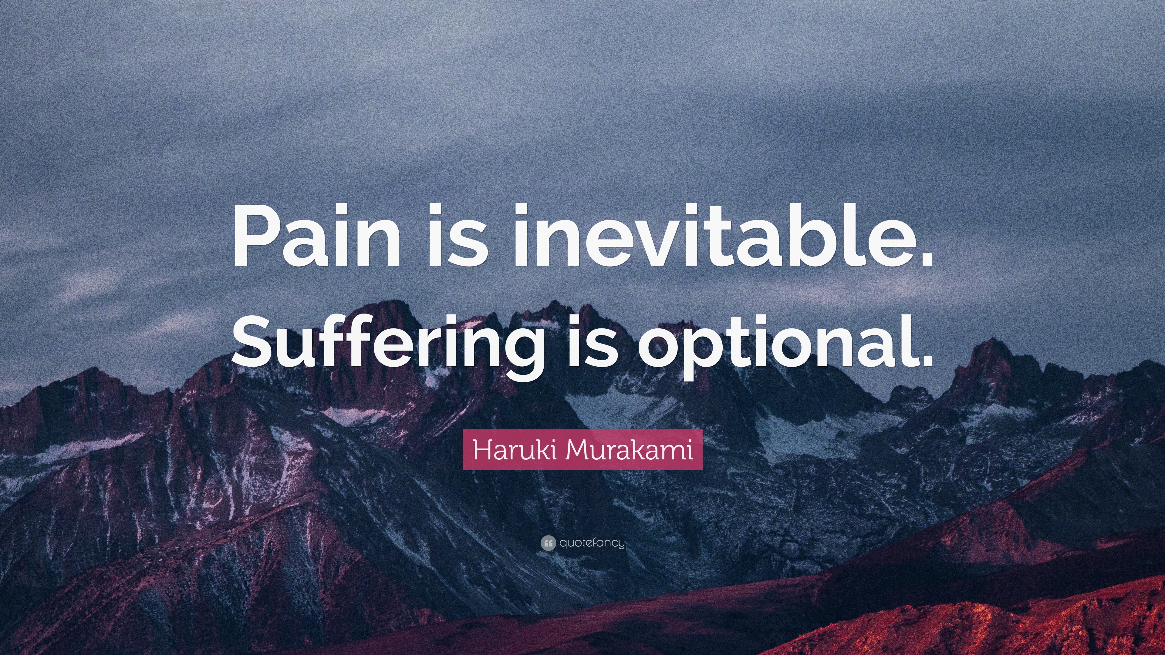 Haruki Murakami Quote: 