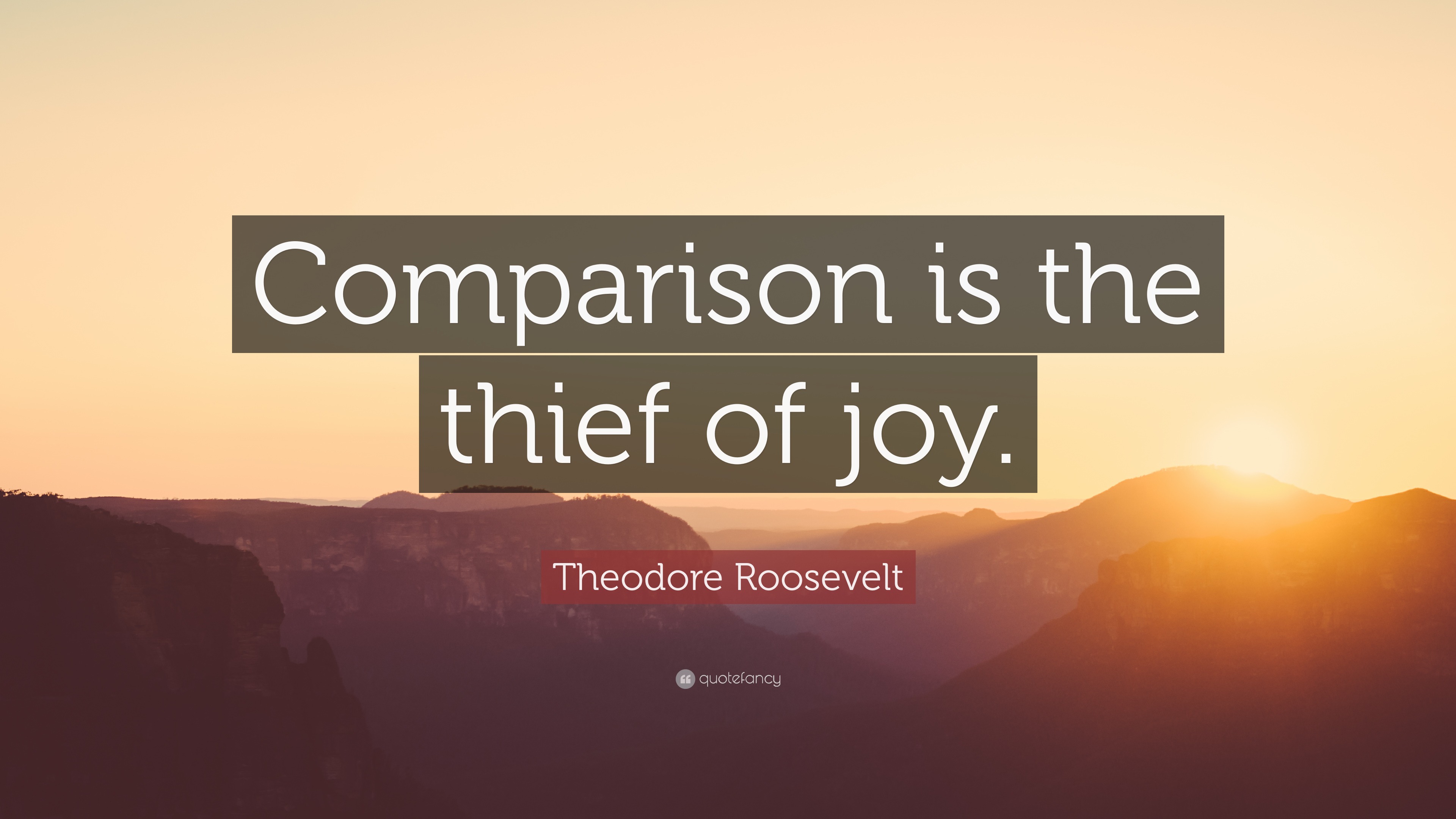 Theodore Roosevelt Quote: “Comparison is the thief of joy.” (17