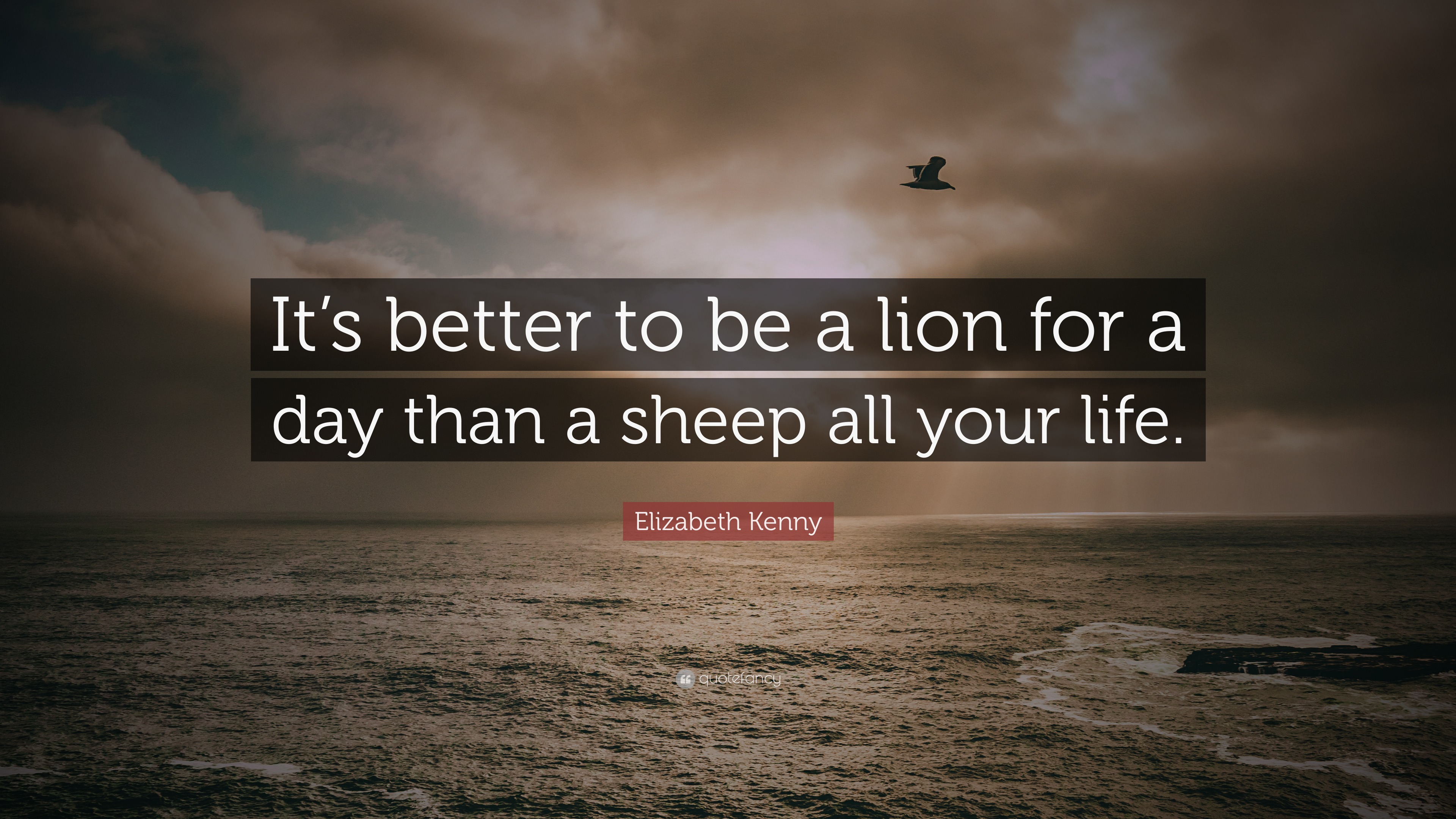 Elizabeth Kenny Quote: “It’s better to be a lion for a day than a sheep